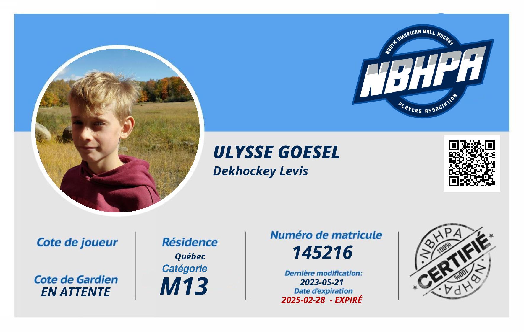Ulysse Goesel