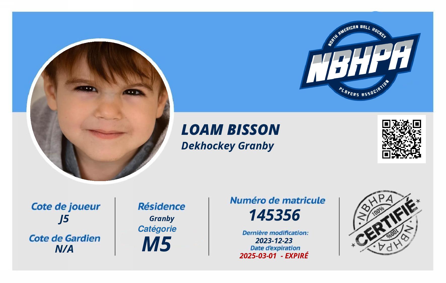 Loam Bisson