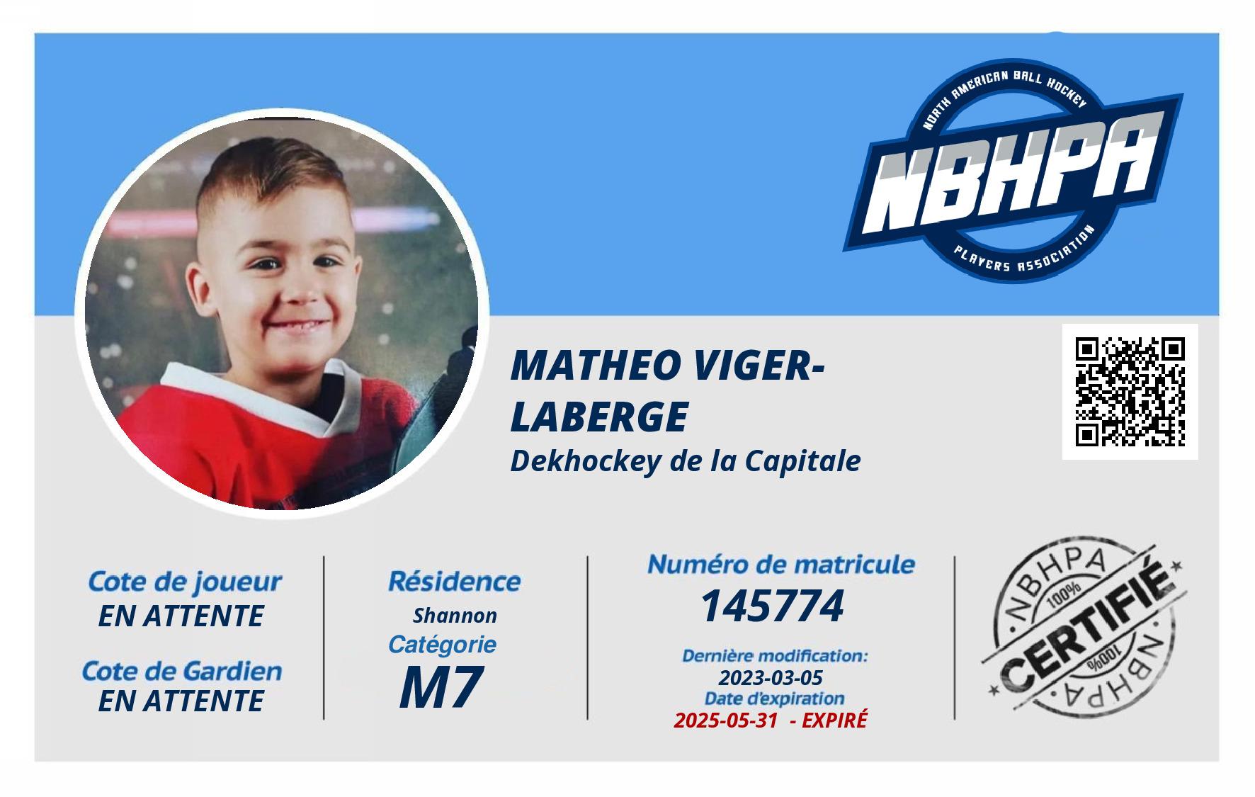 Matheo Viger-Laberge