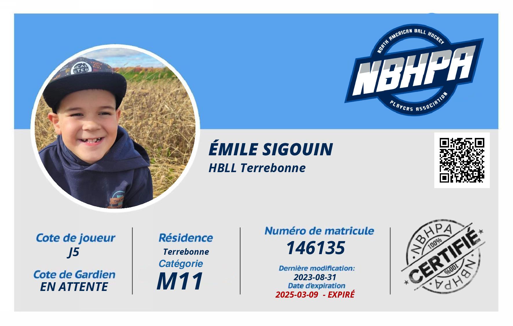 Émile Sigouin