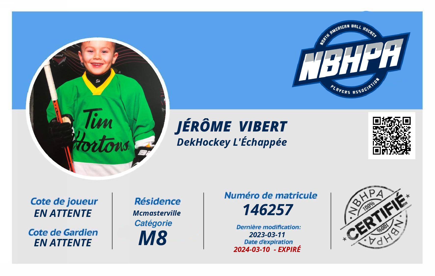 Jérôme  Vibert