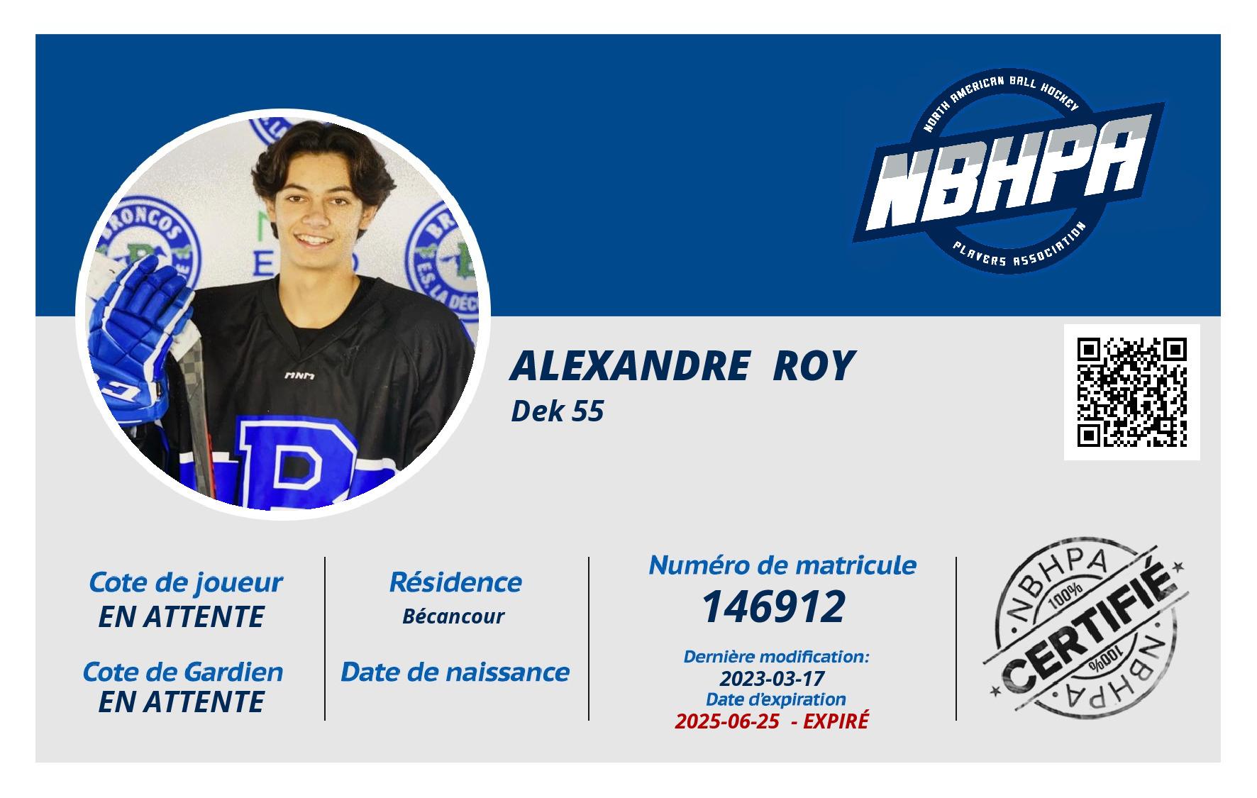 Alexandre  Roy