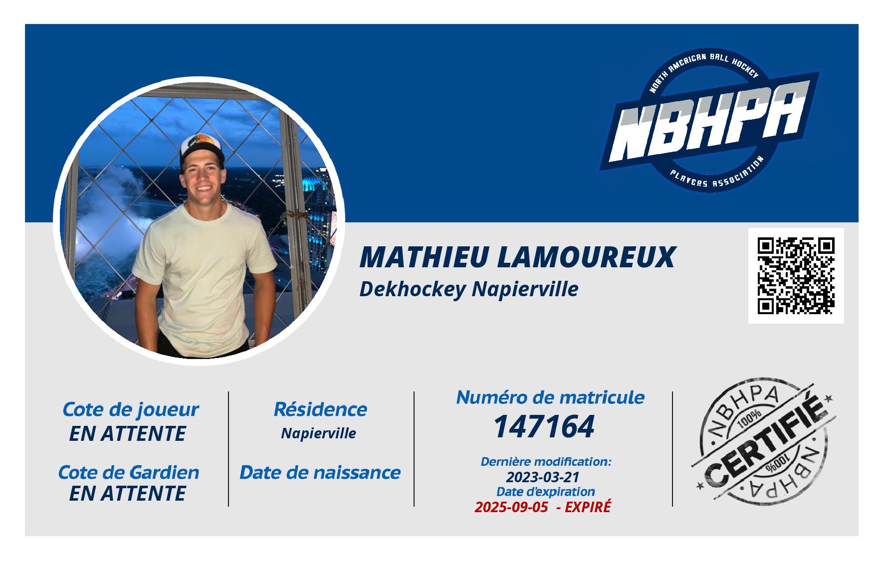 Mathieu Lamoureux 