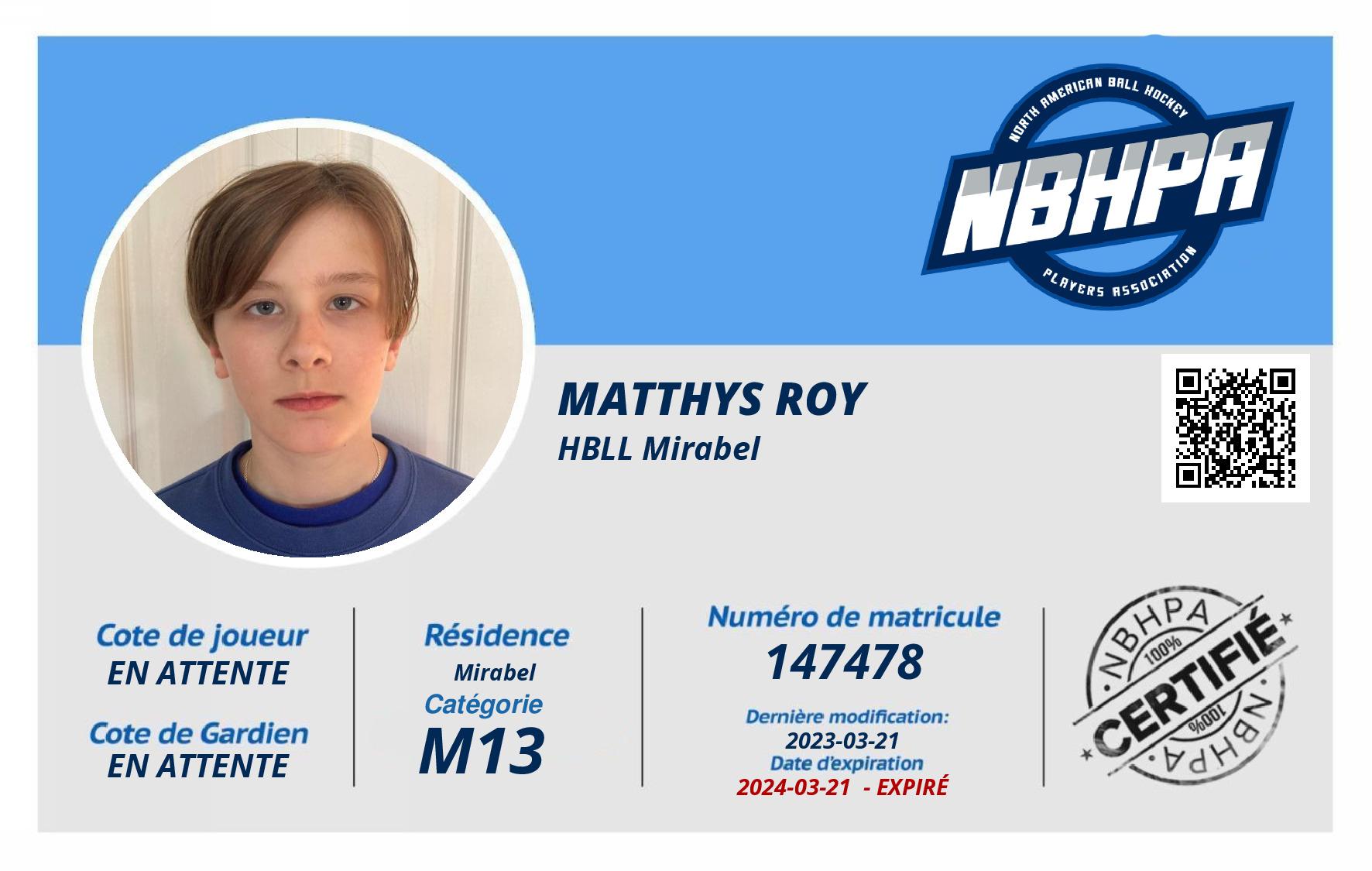 Matthys Roy