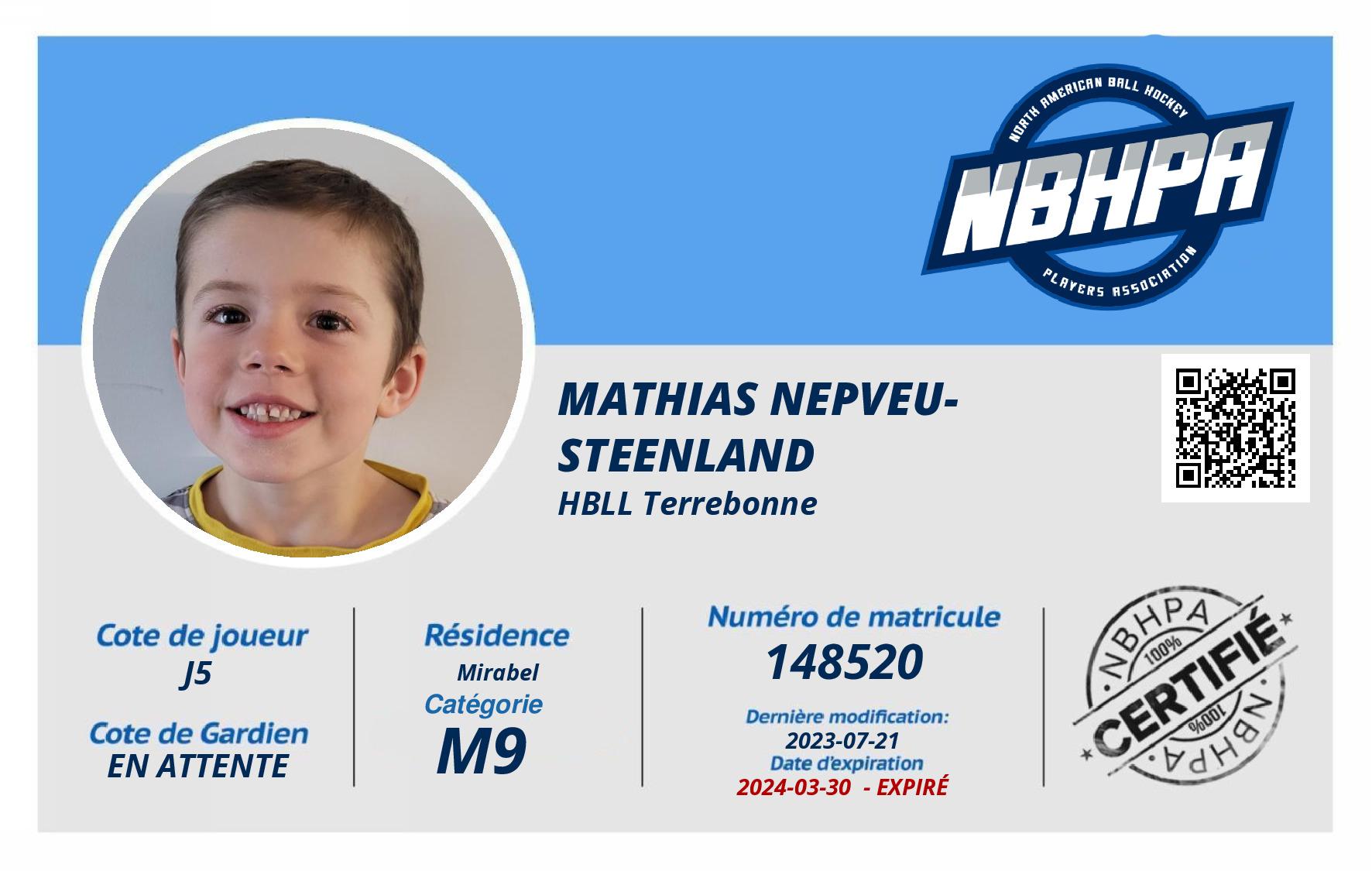 Mathias Nepveu-Steenland 