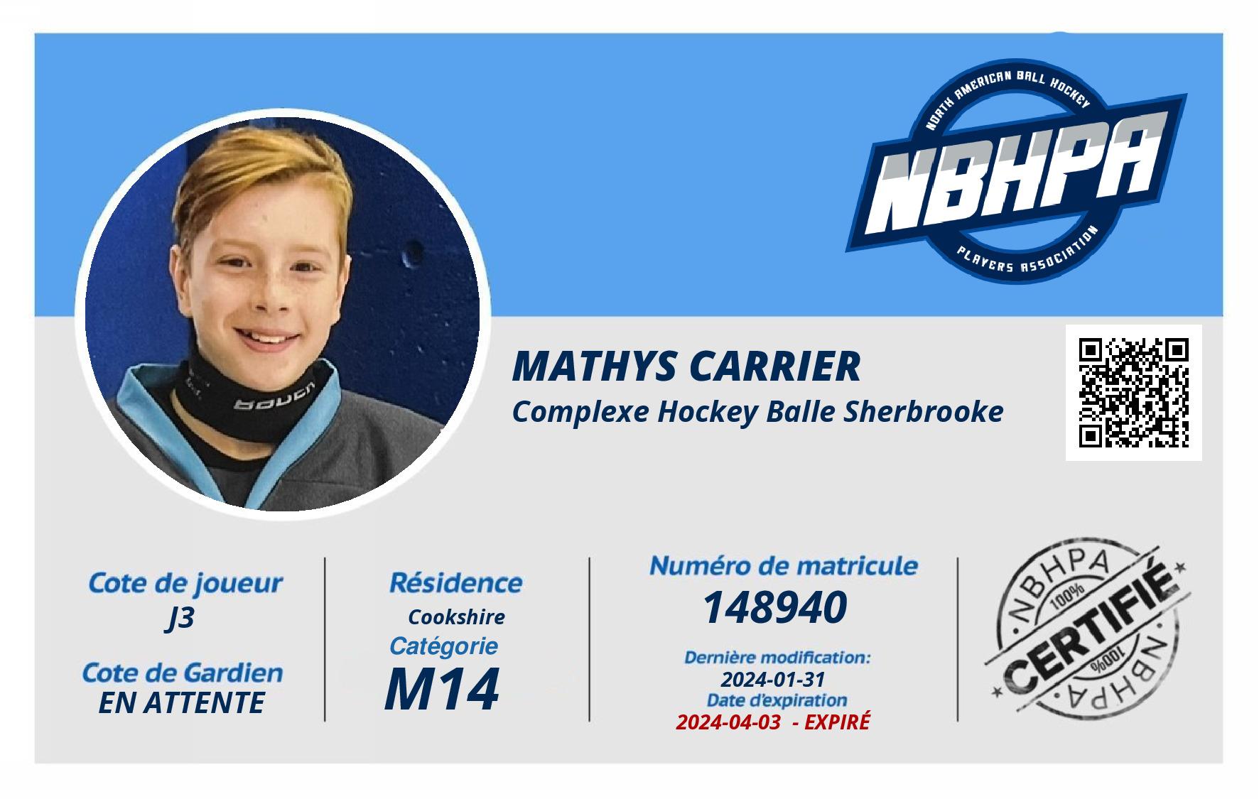 Mathys Carrier