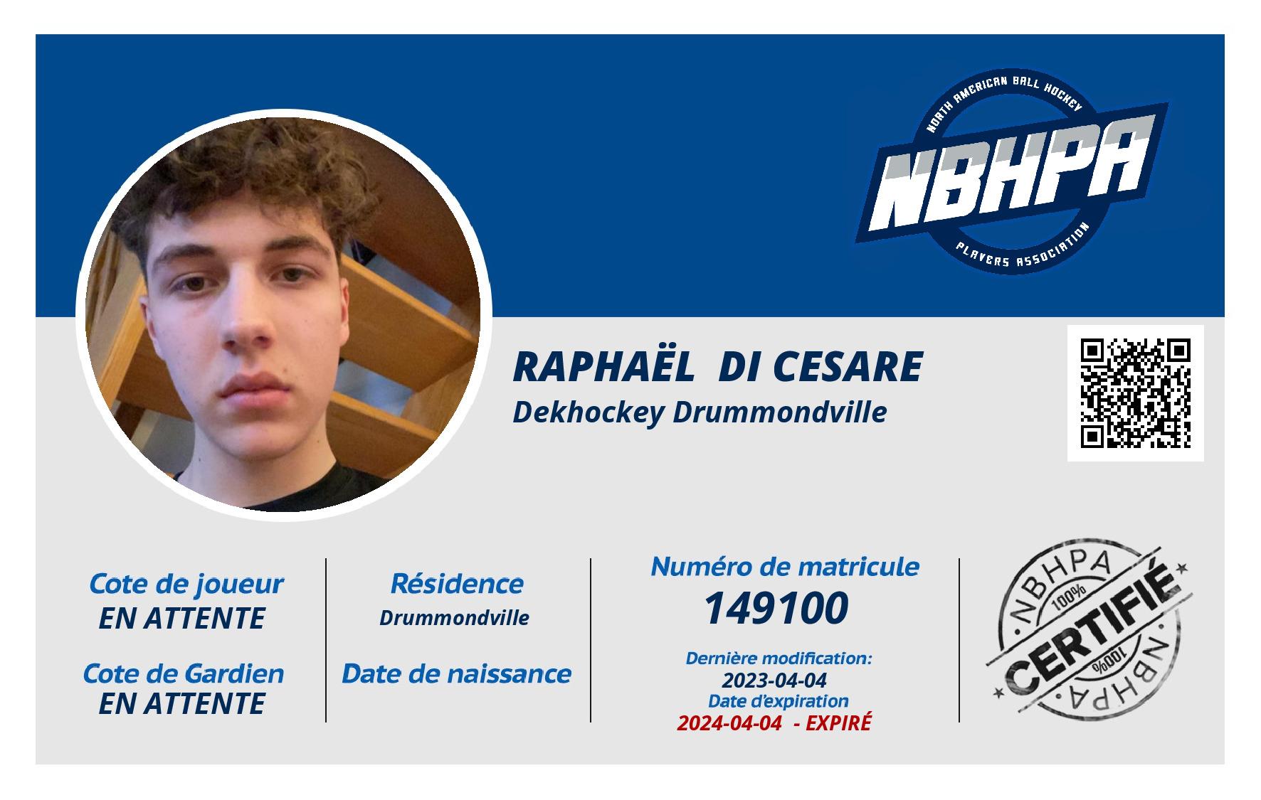 Raphaël  Di Cesare