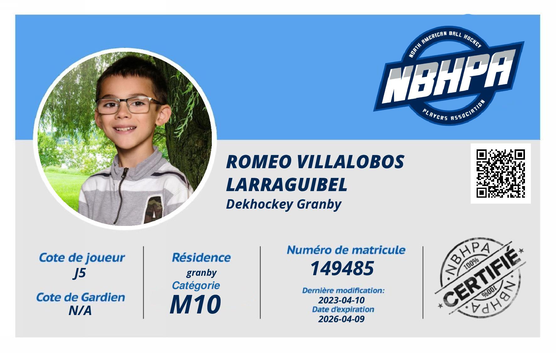 Romeo Villalobos Larraguibel