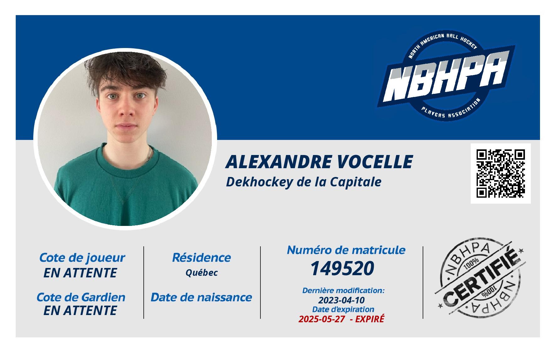 Alexandre Vocelle