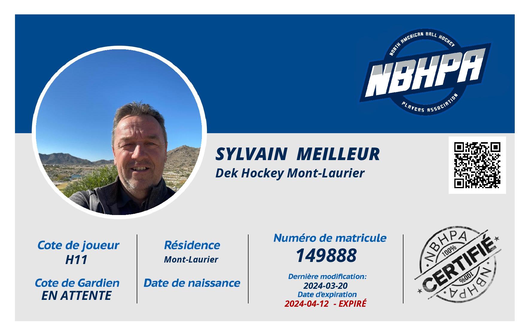 Sylvain  meilleur