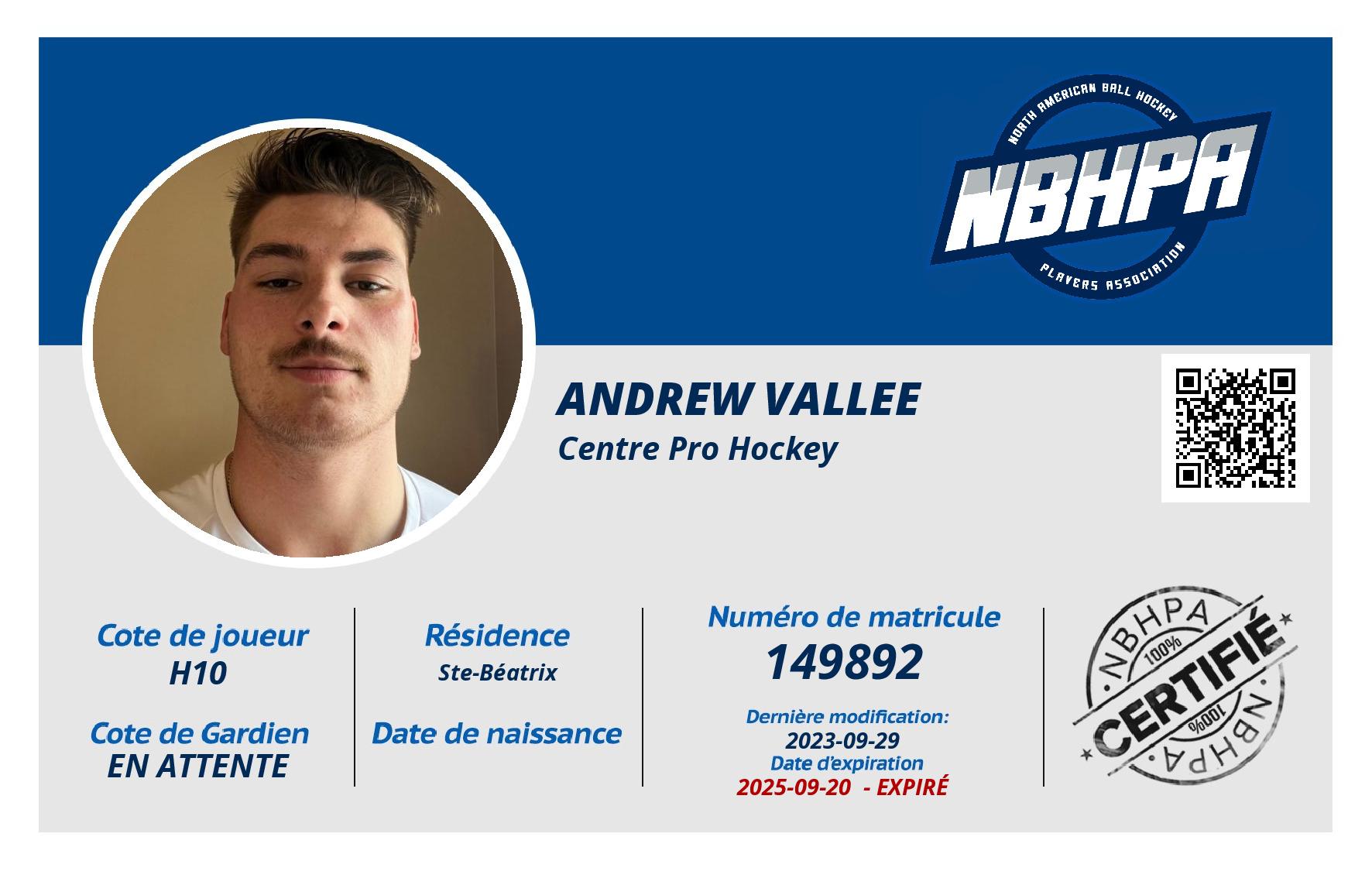 Andrew Vallee