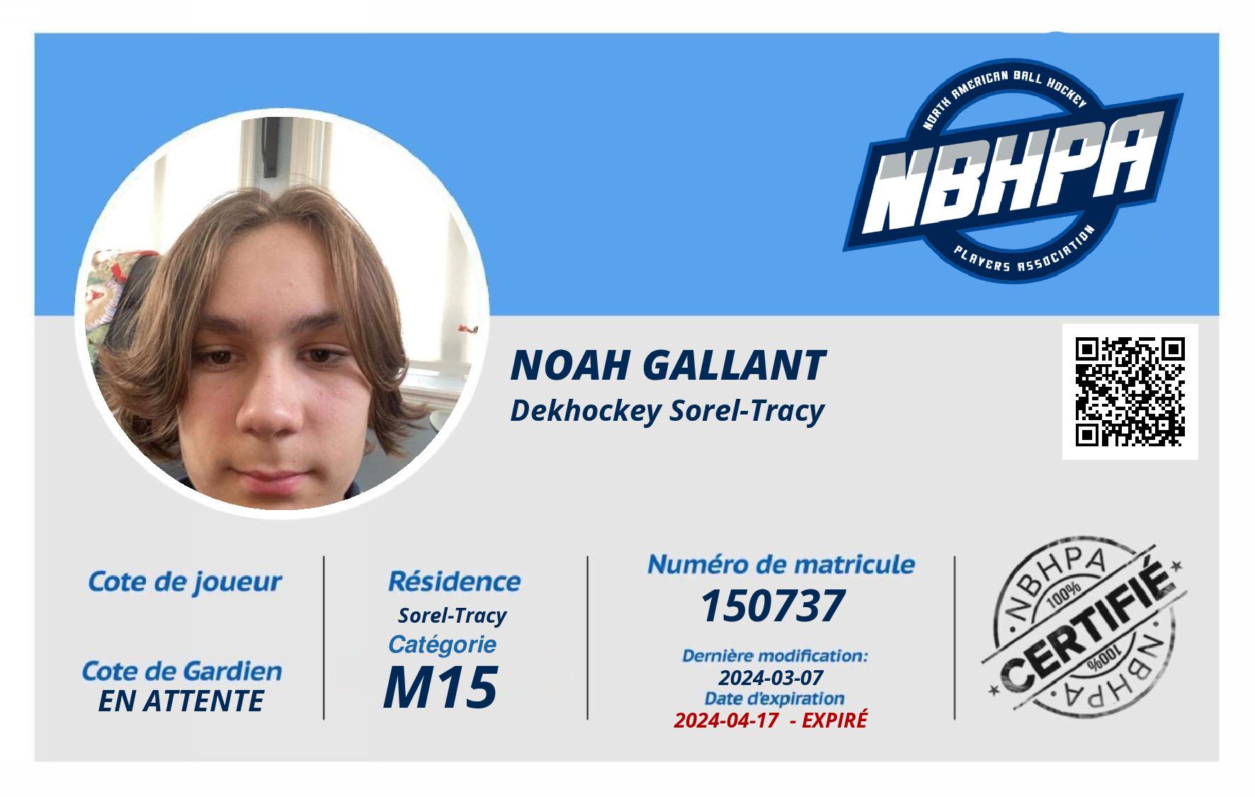 Noah Gallant