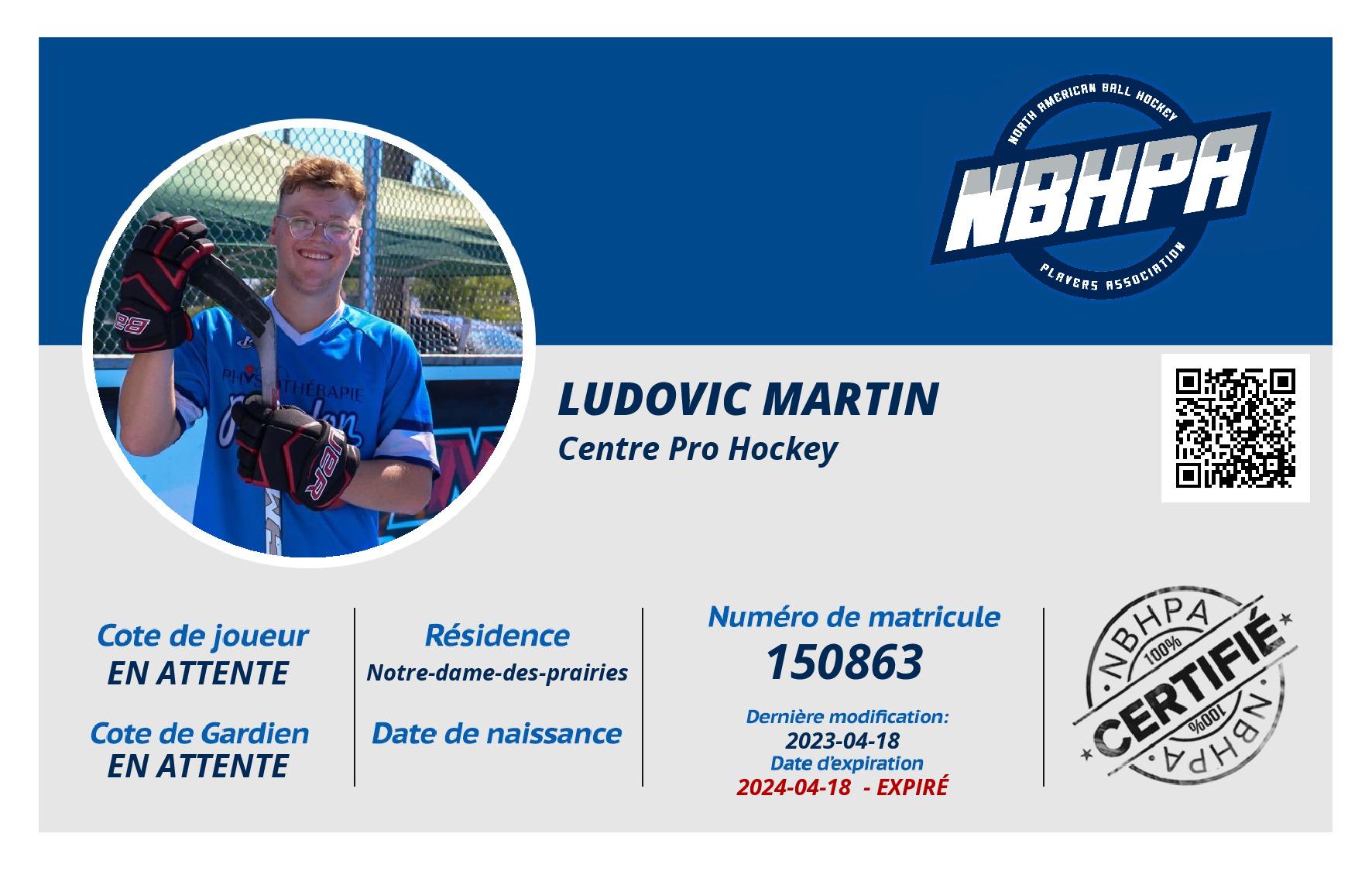 Ludovic Martin
