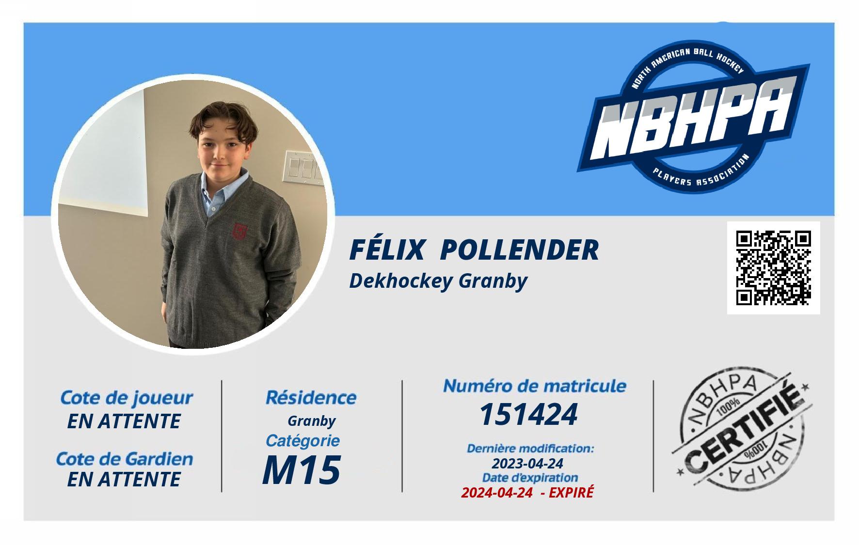 Félix  Pollender 