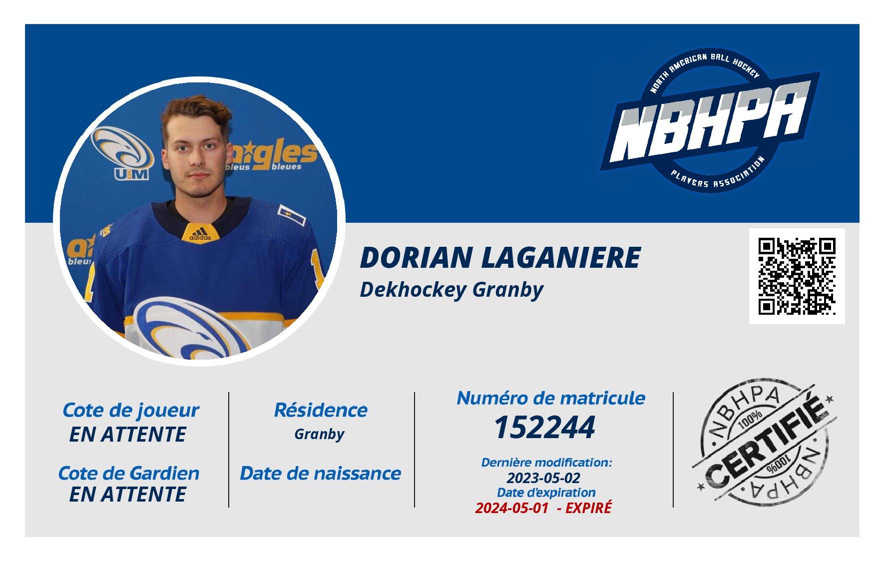 Dorian Laganiere