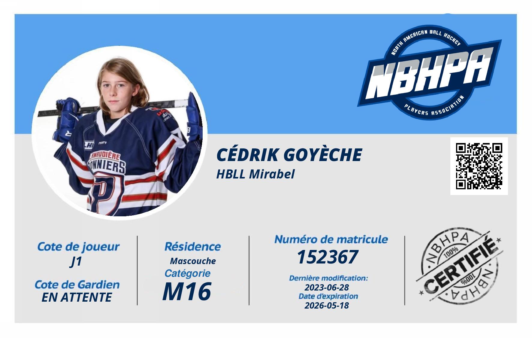 Cédrik Goyèche