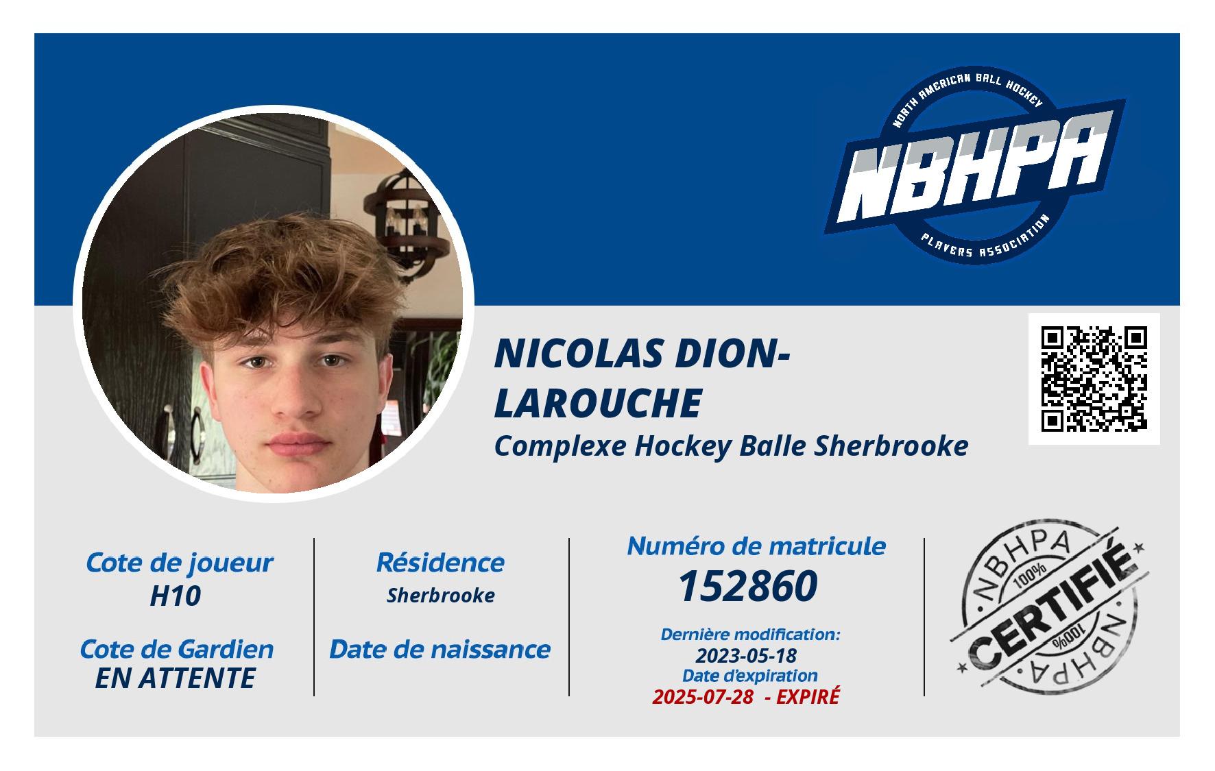 Nicolas Dion-Larouche