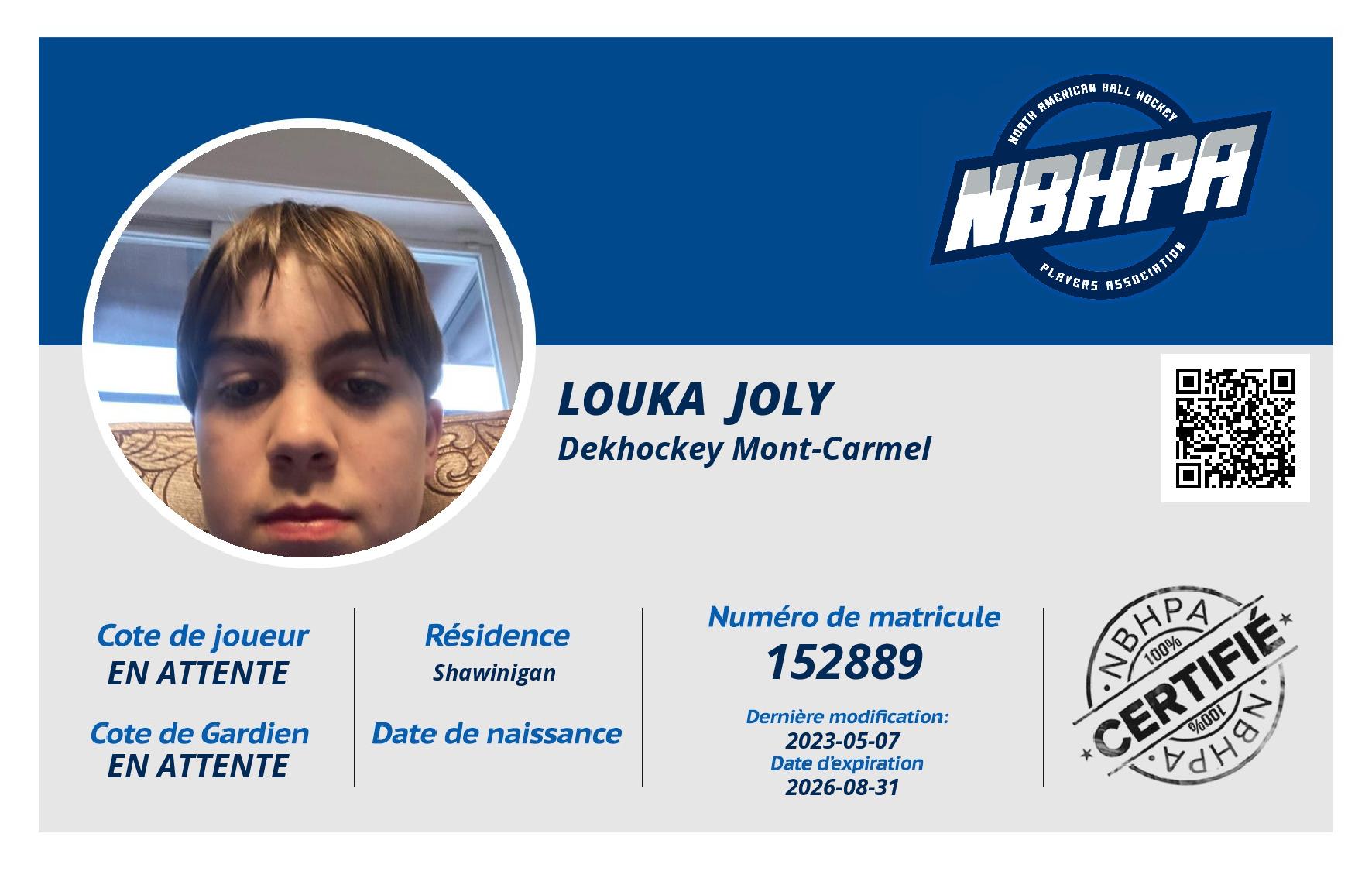 Louka  Joly