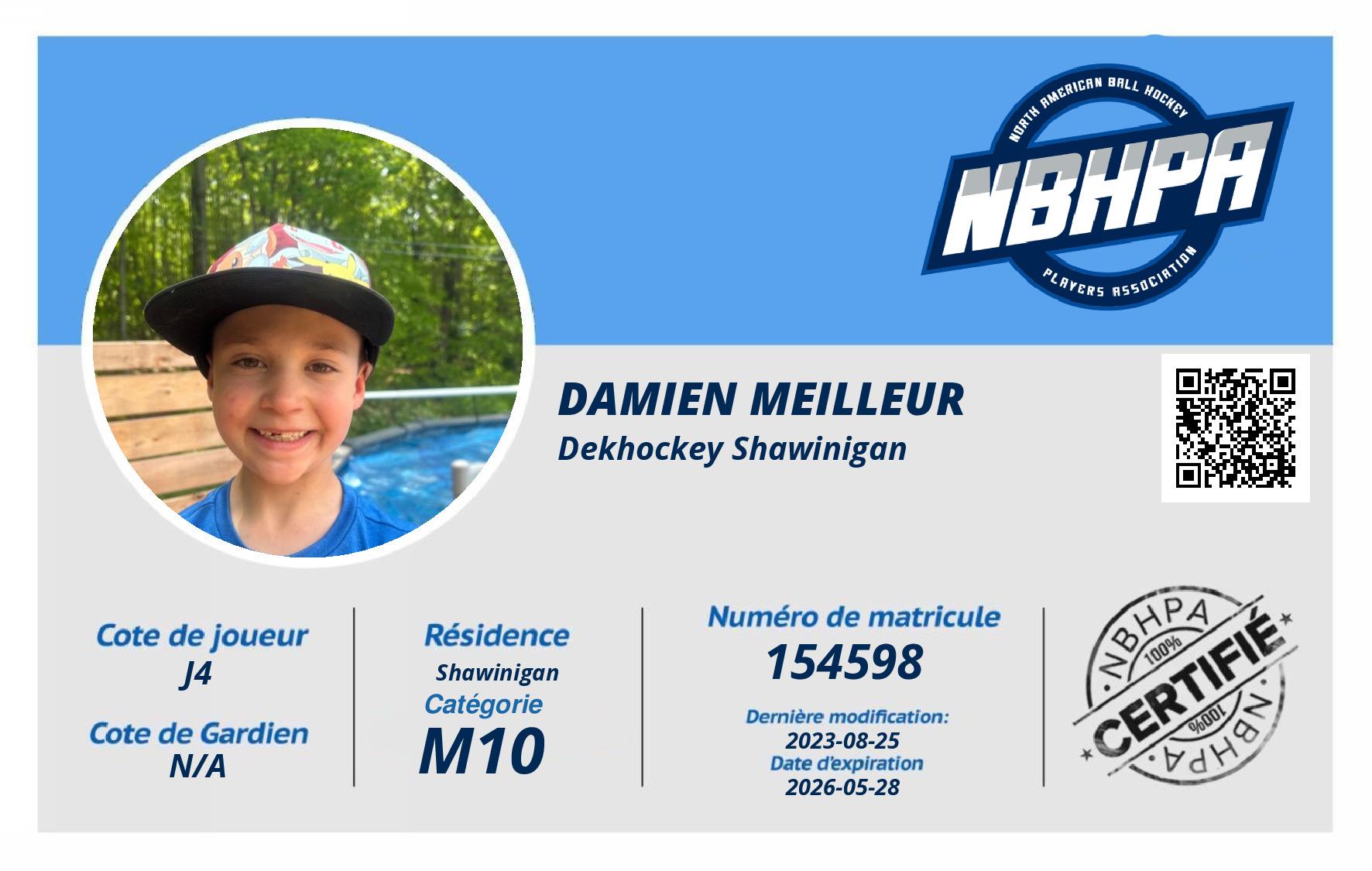 Damien Meilleur