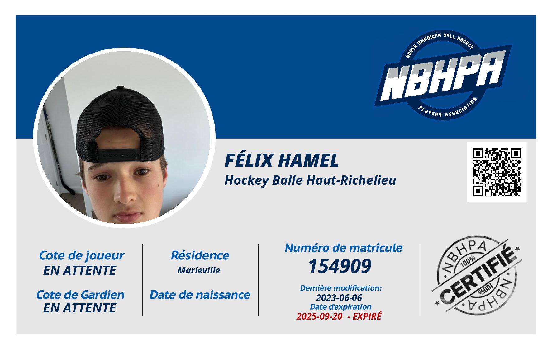 Félix Hamel