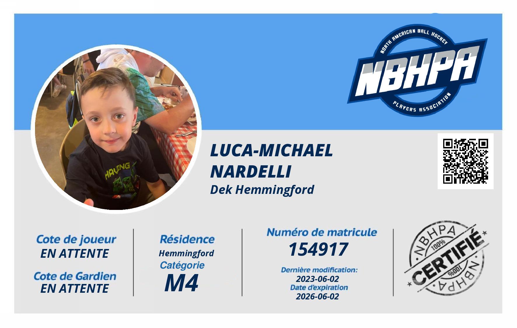 Luca-Michael Nardelli