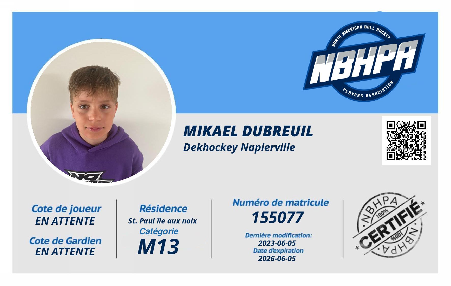 Mikael Dubreuil