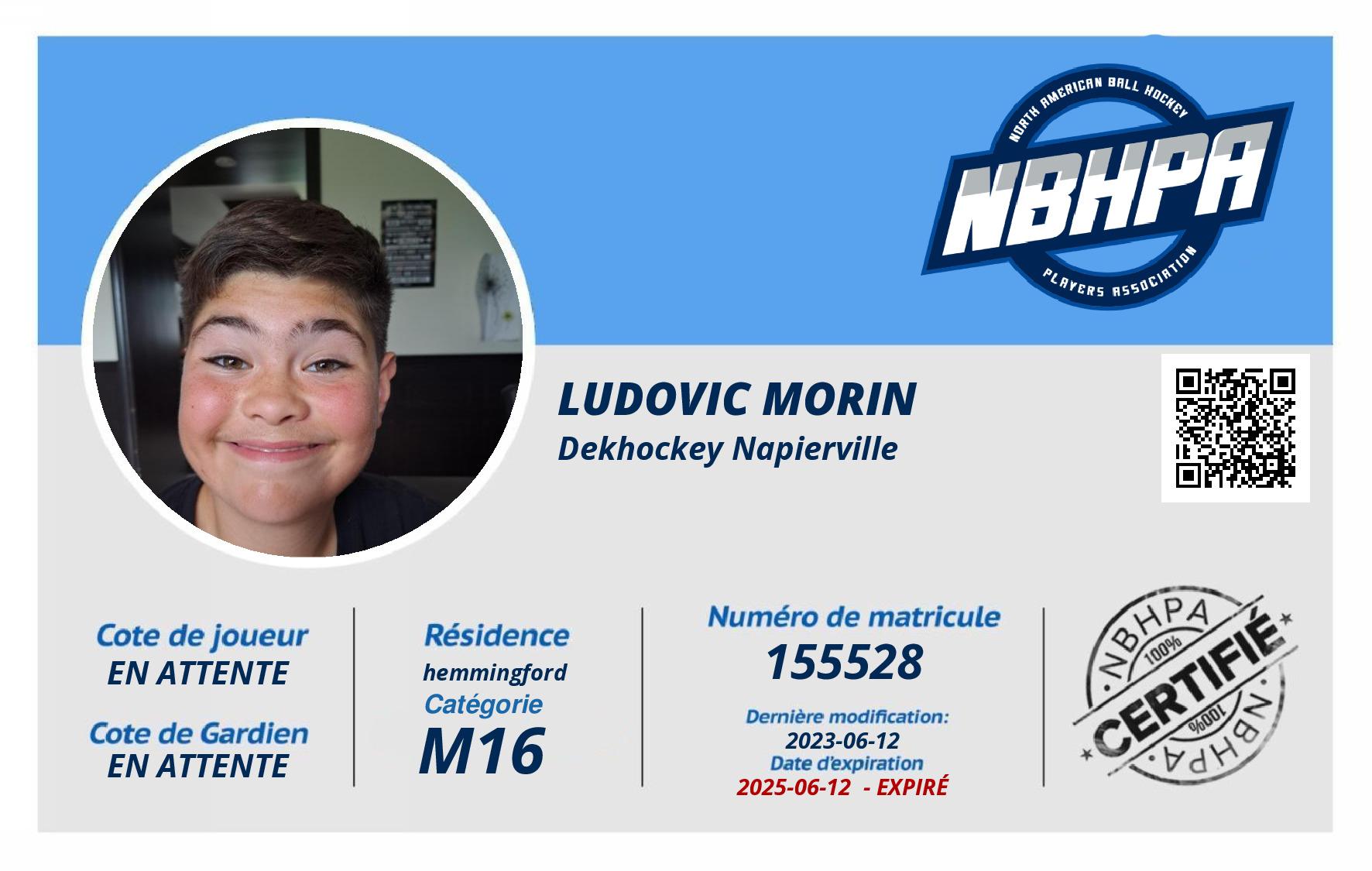 Ludovic Morin