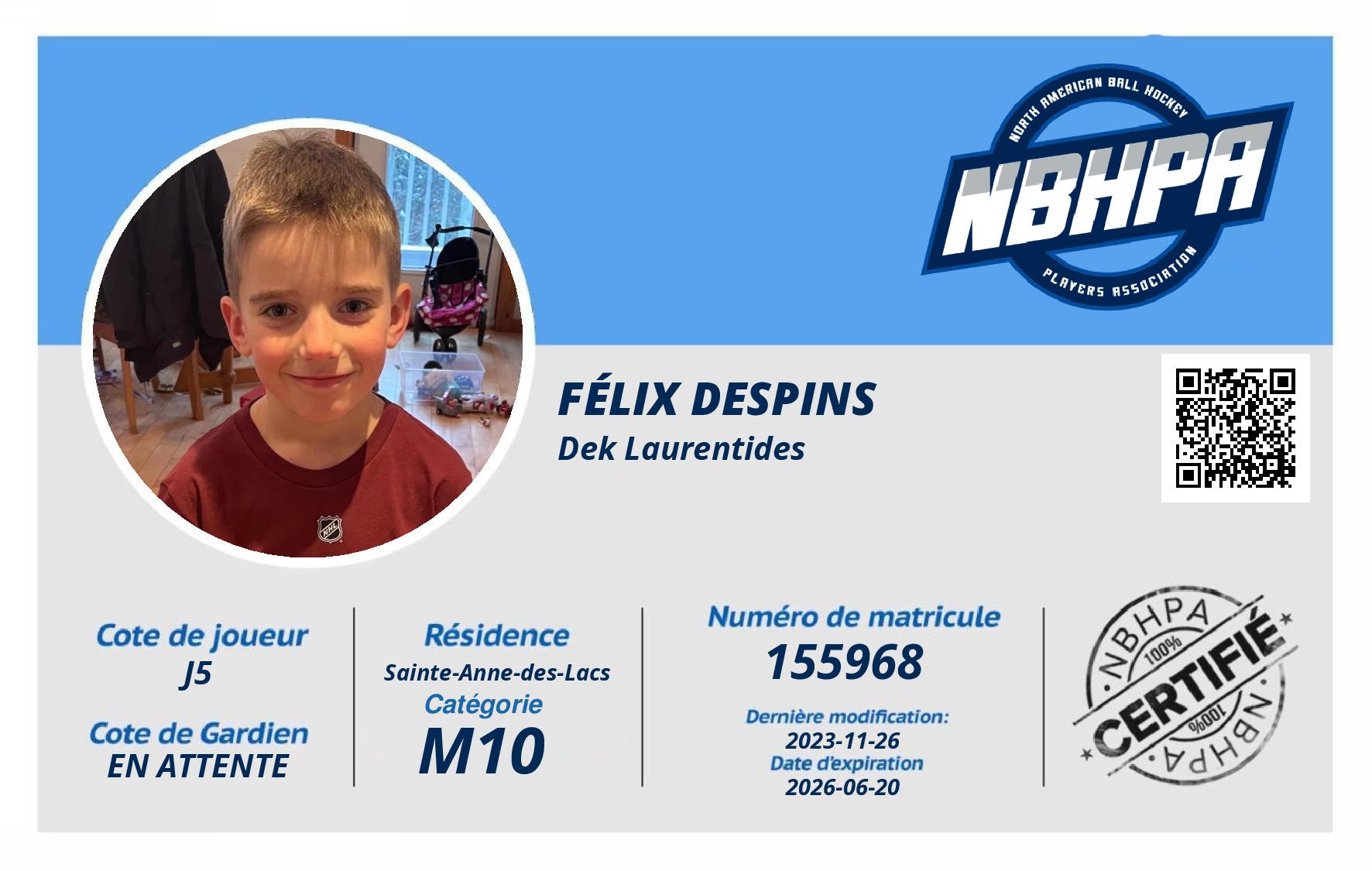 Félix Despins