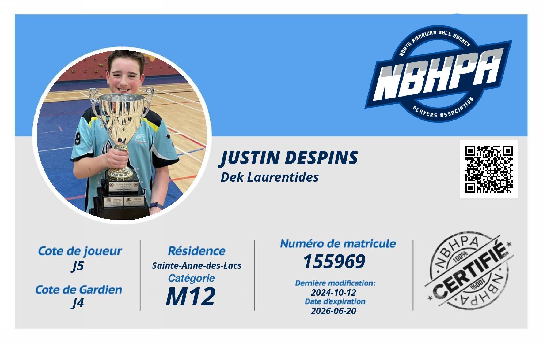 Justin Despins