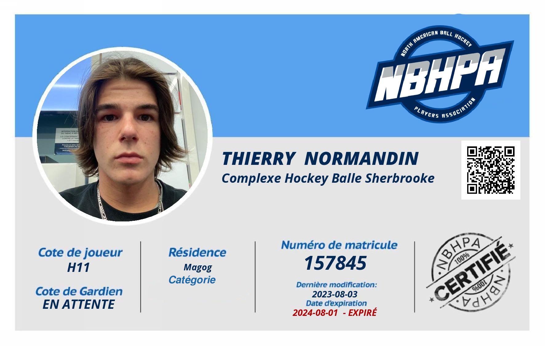 Thierry  Normandin