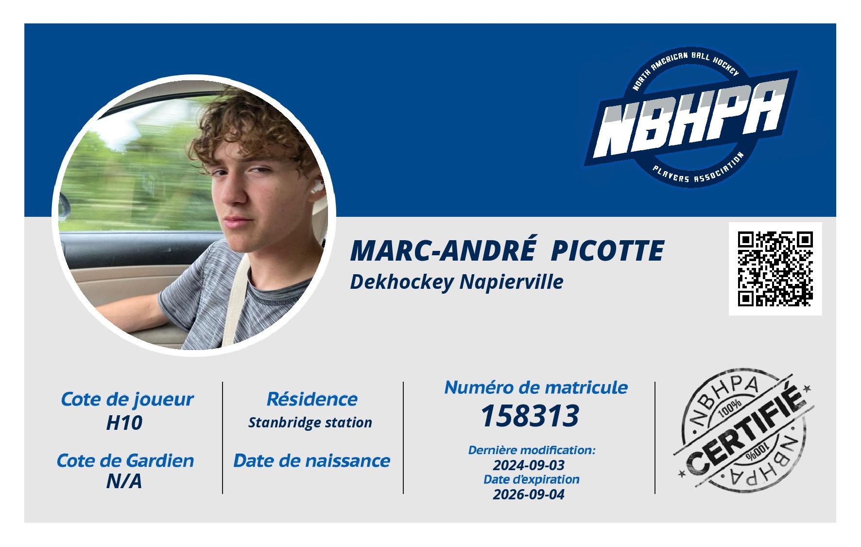 Marc-André  Picotte