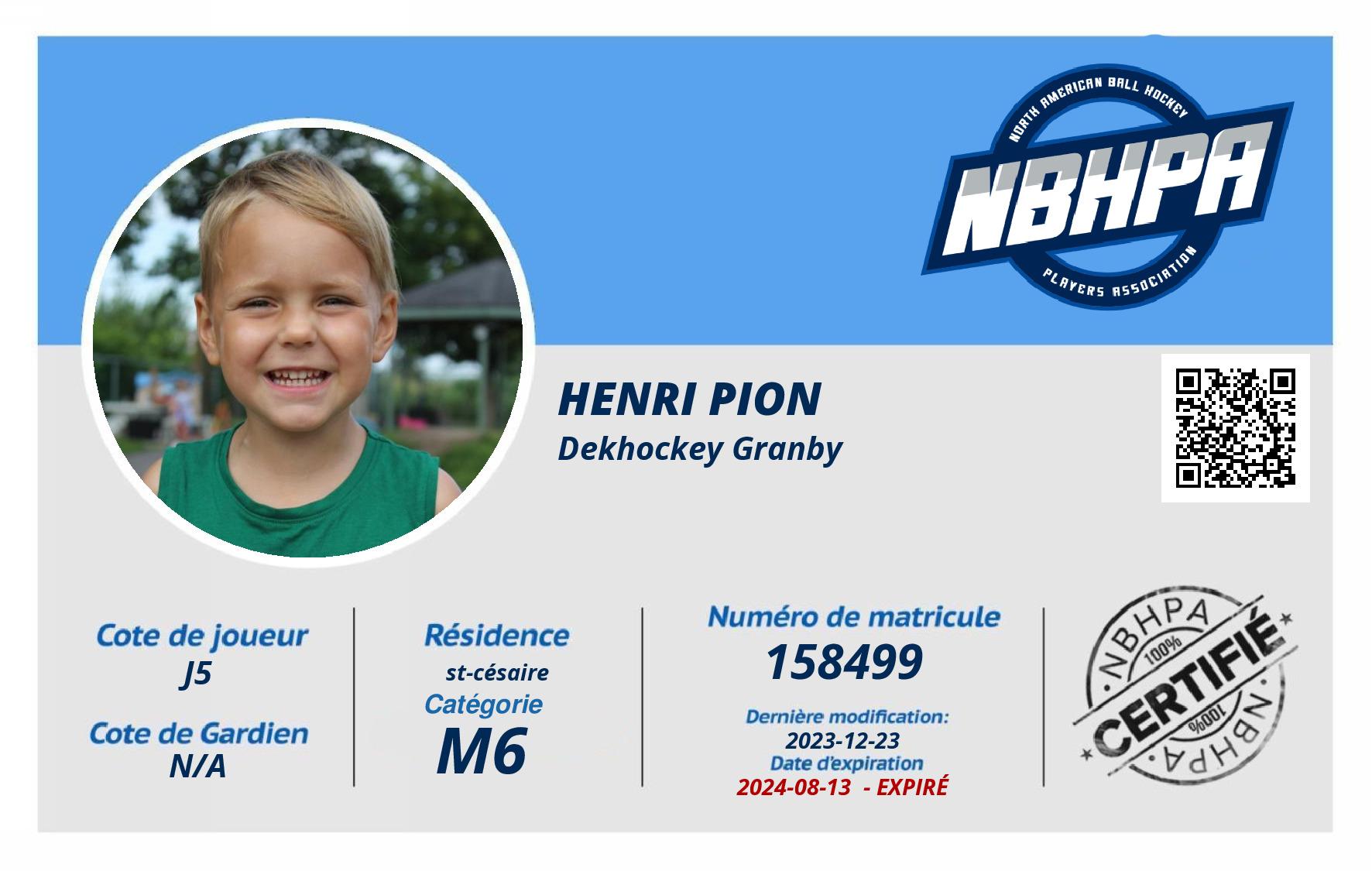 Henri Pion