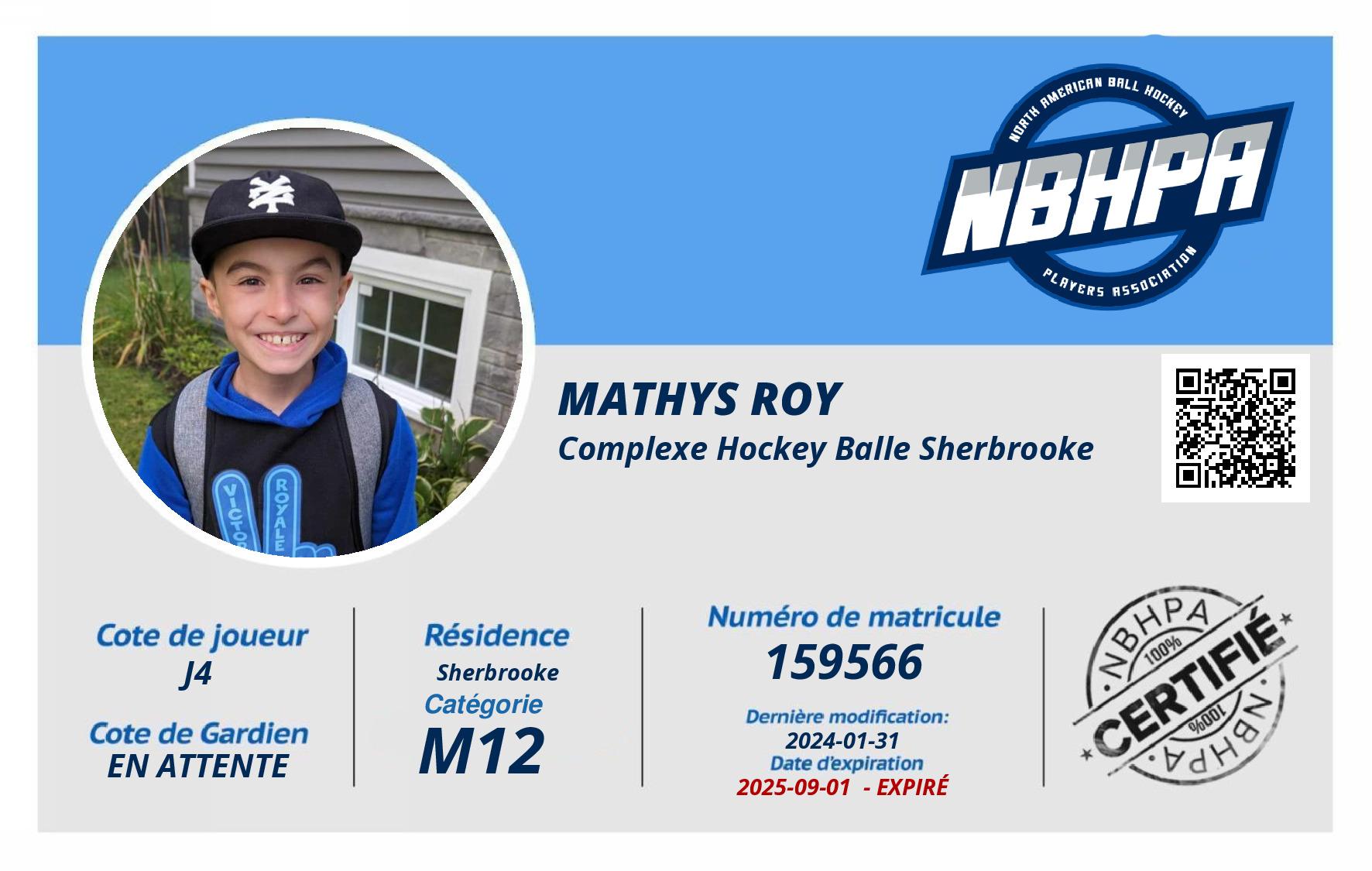 Mathys Roy