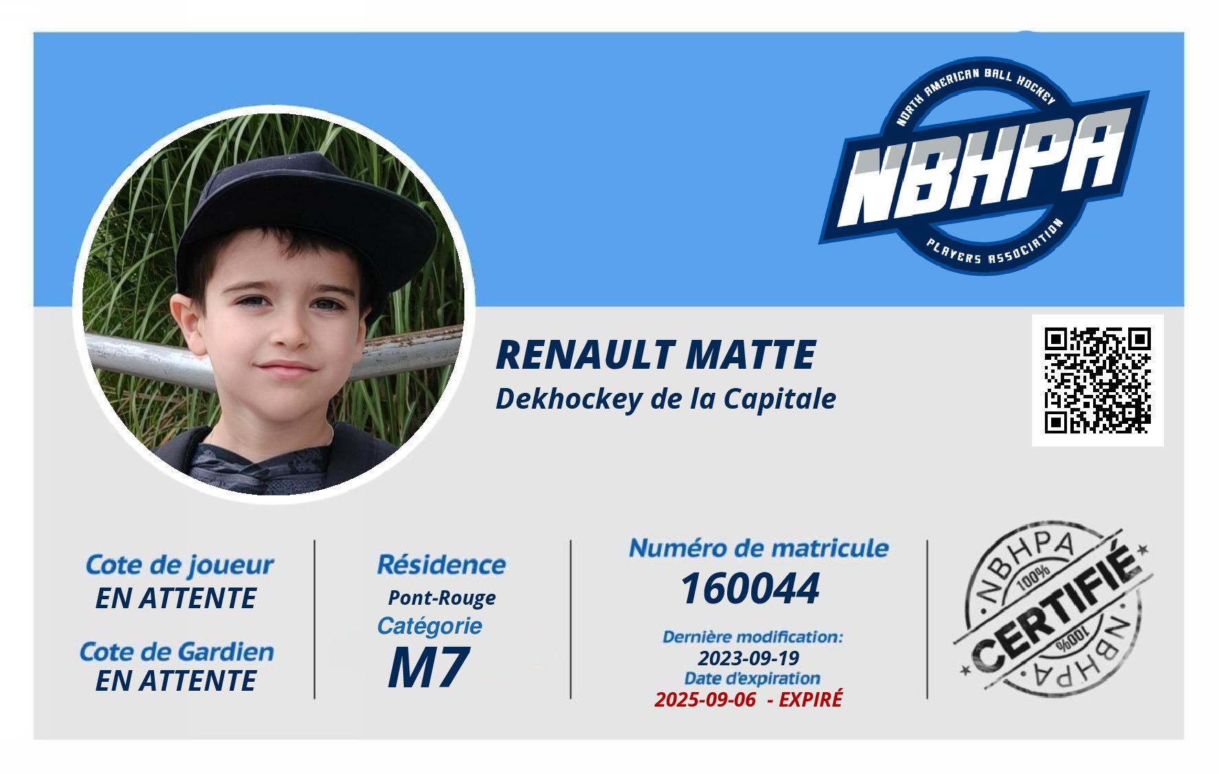 Renault Matte