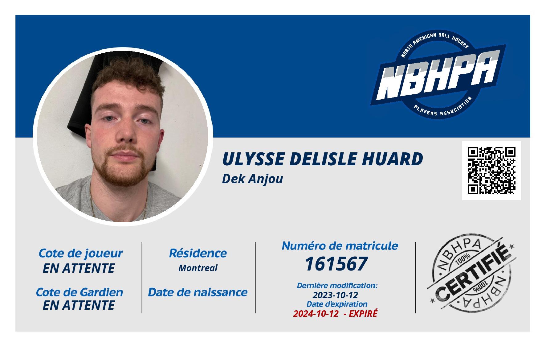 Ulysse Delisle Huard