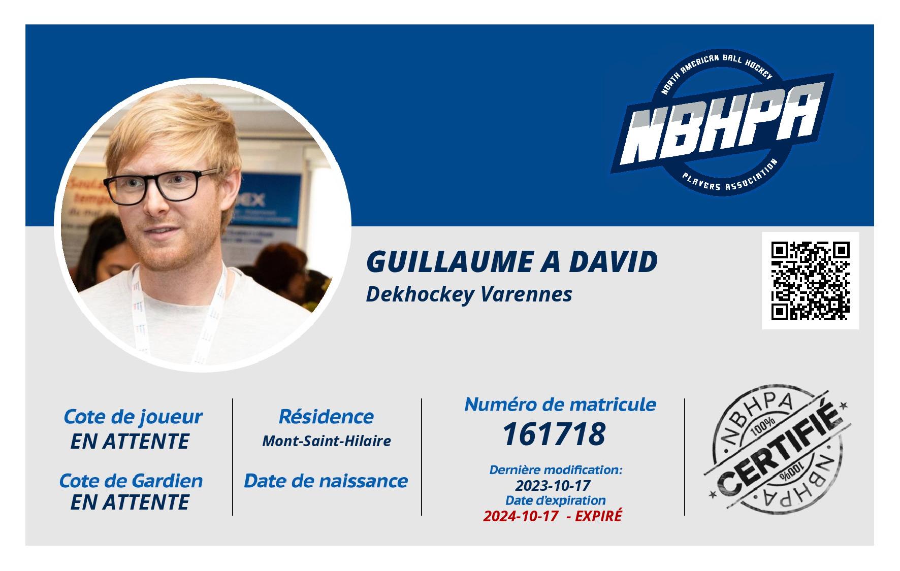 Guillaume A David