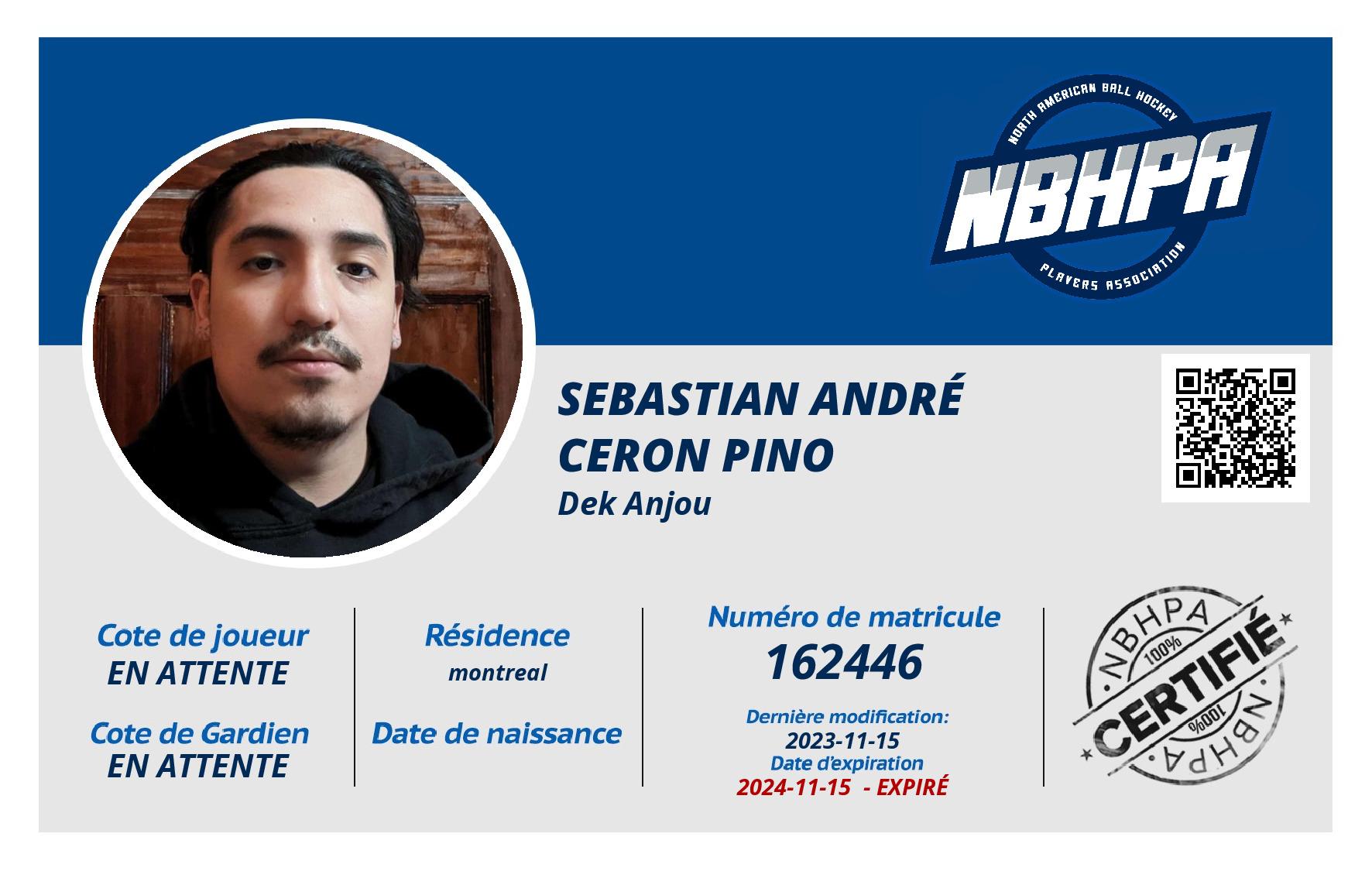 Sebastian andré Ceron pino