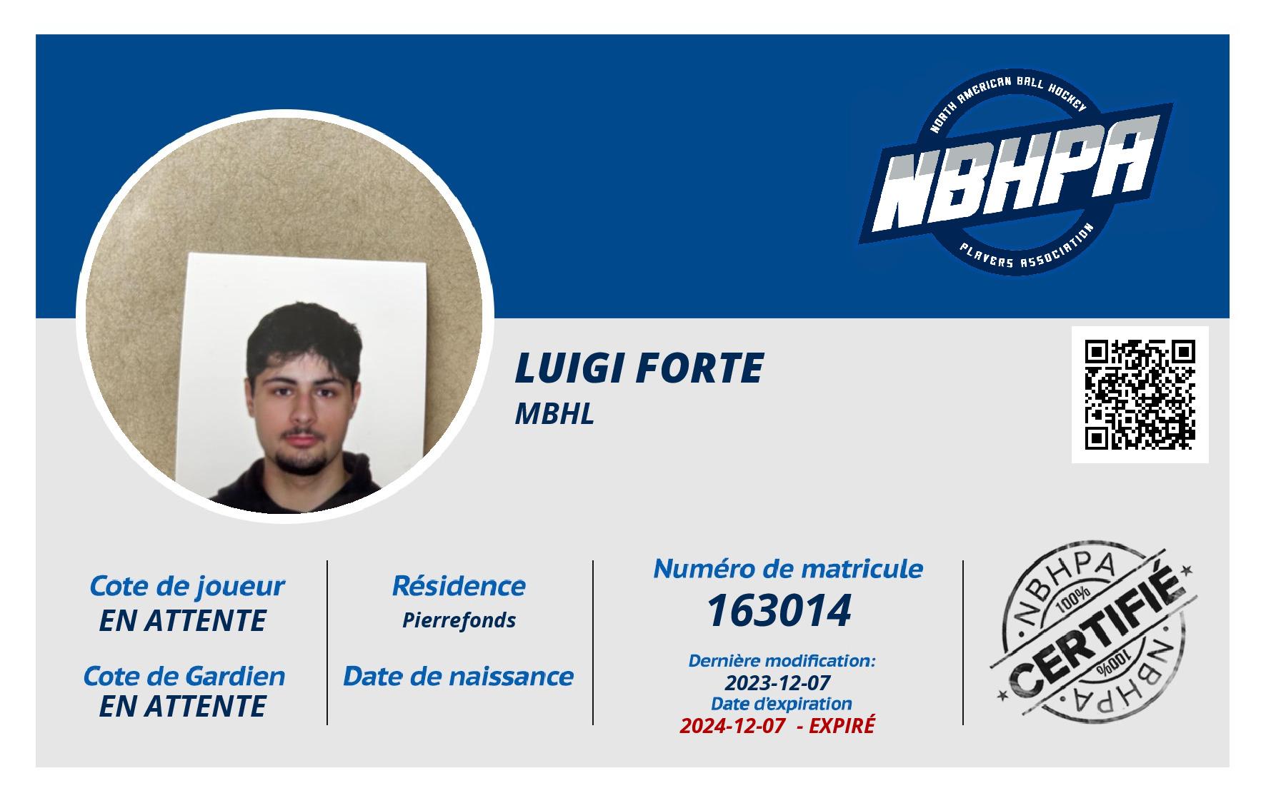 Luigi Forte