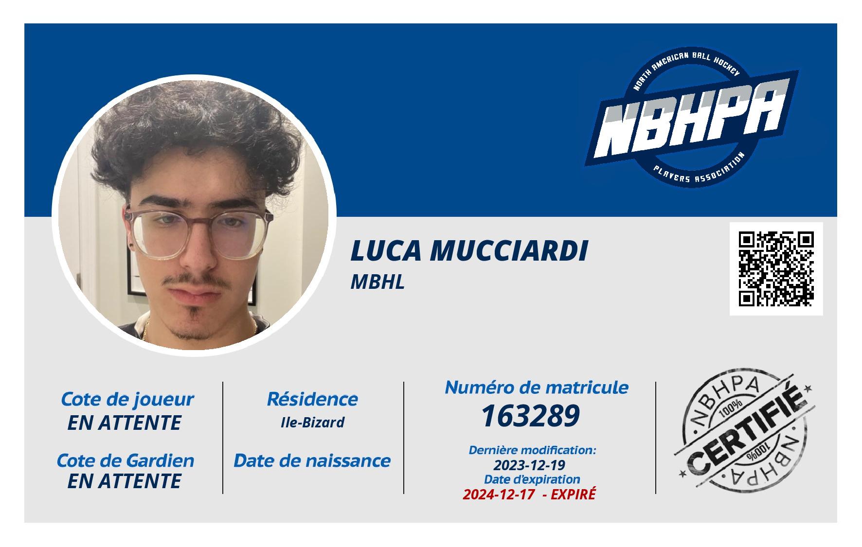 Luca Mucciardi