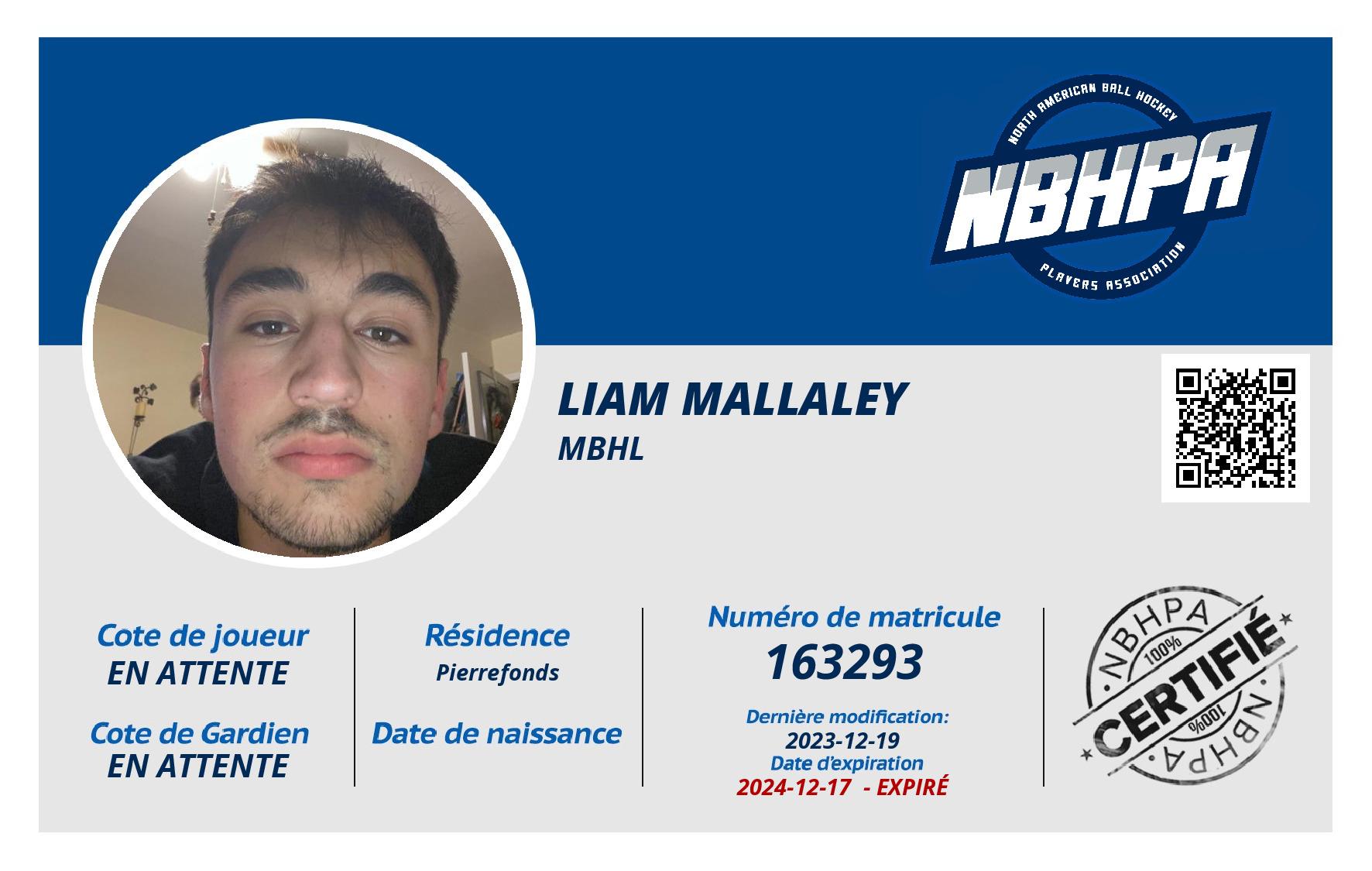 Liam Mallaley