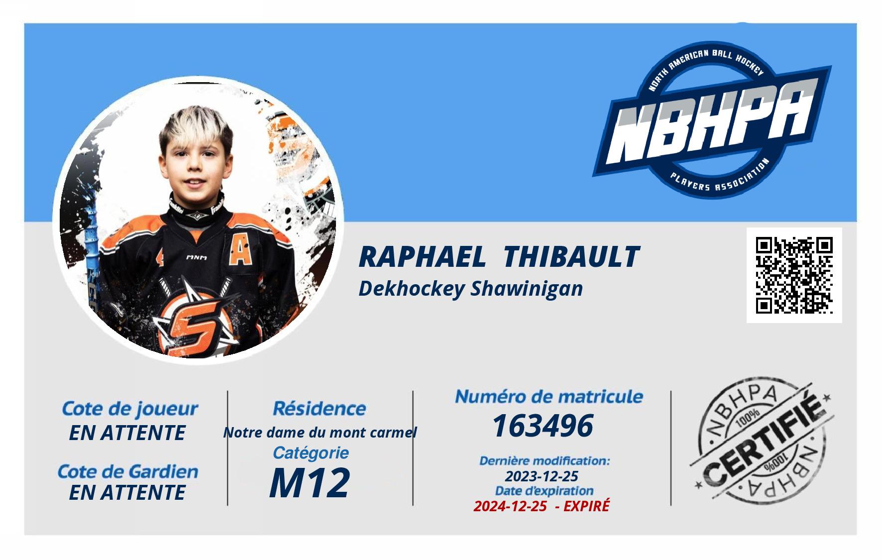 Raphael  Thibault