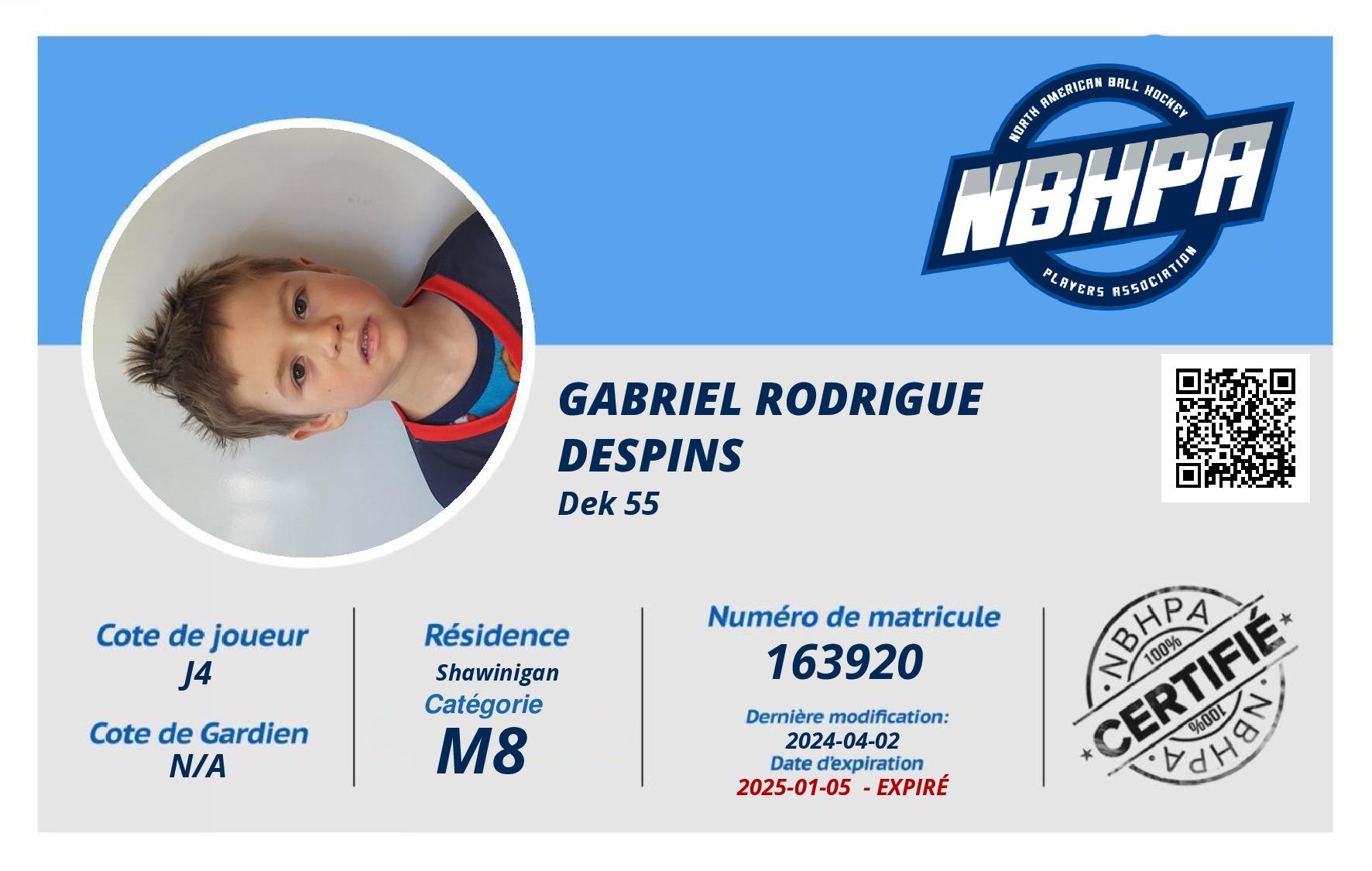 Gabriel Rodrigue Despins