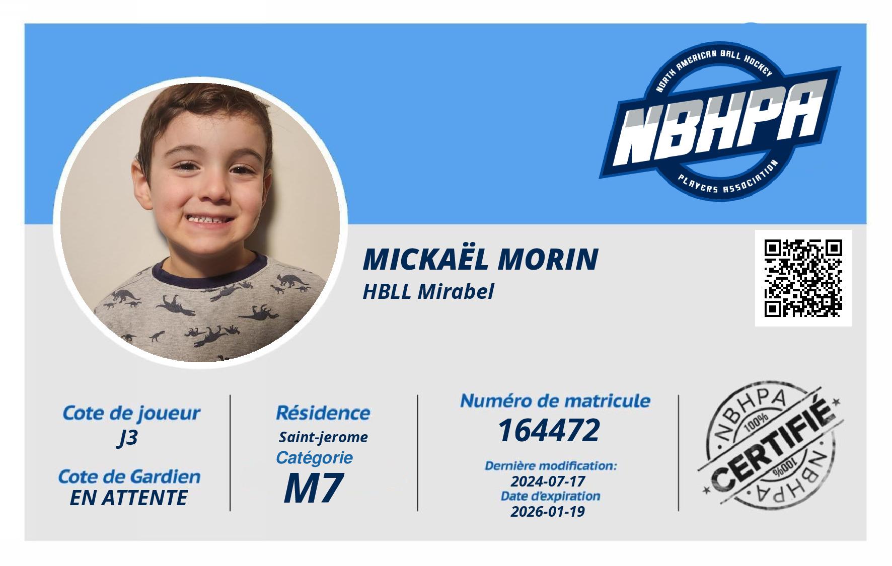 Mickaël Morin