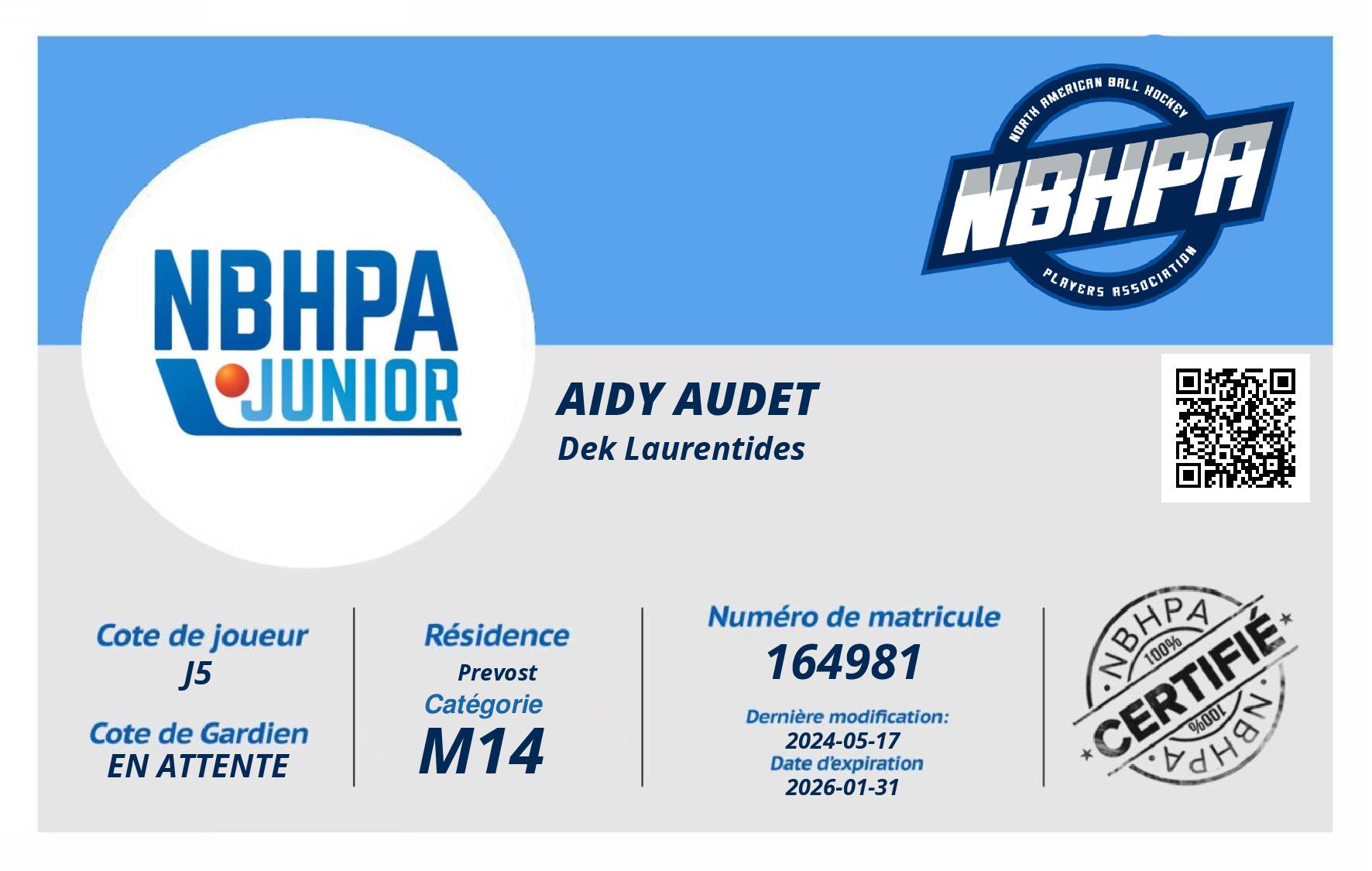 Aidy Audet