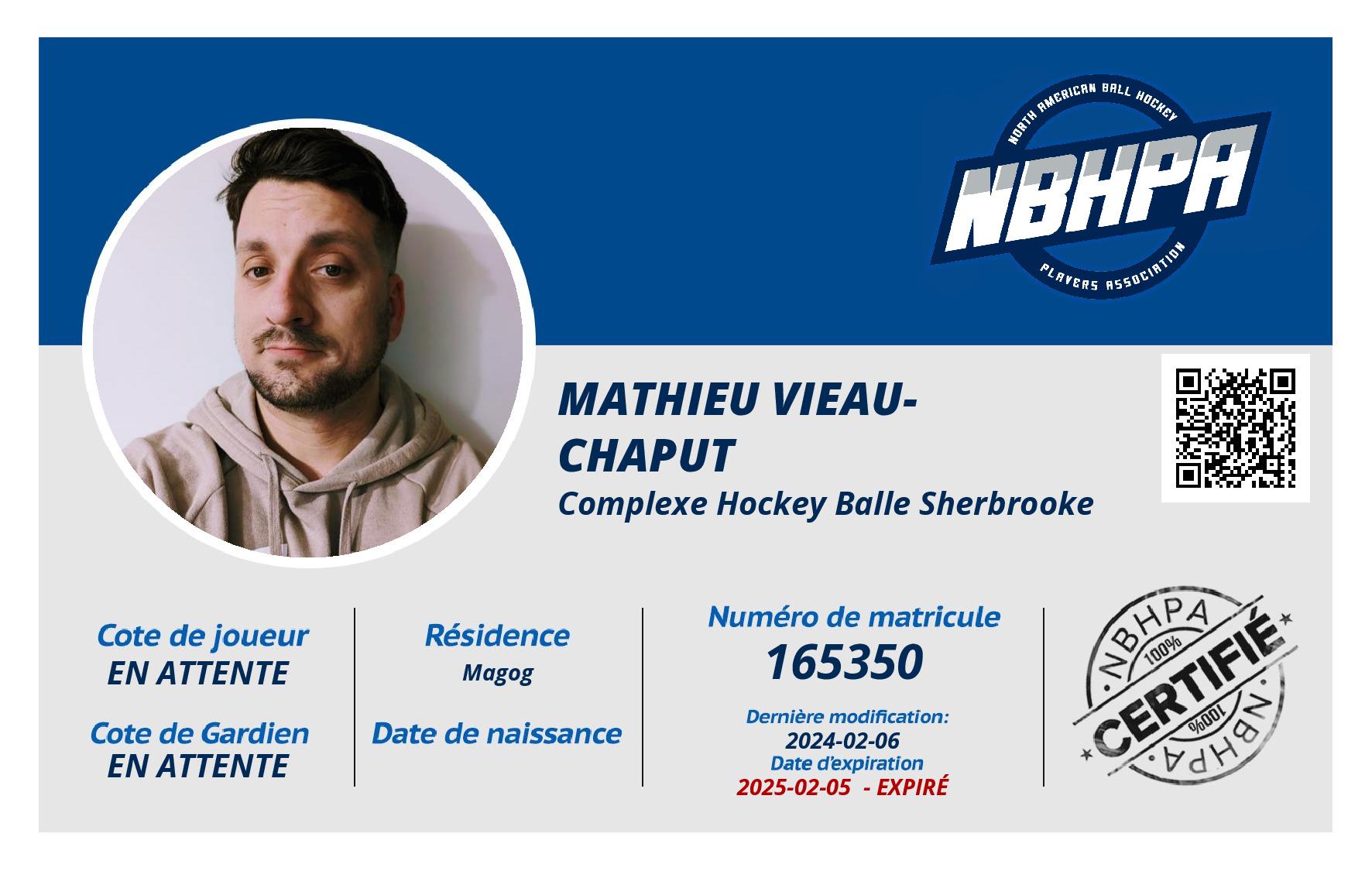 Mathieu Vieau-Chaput