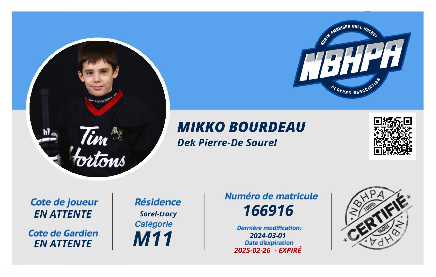 Mikko Bourdeau