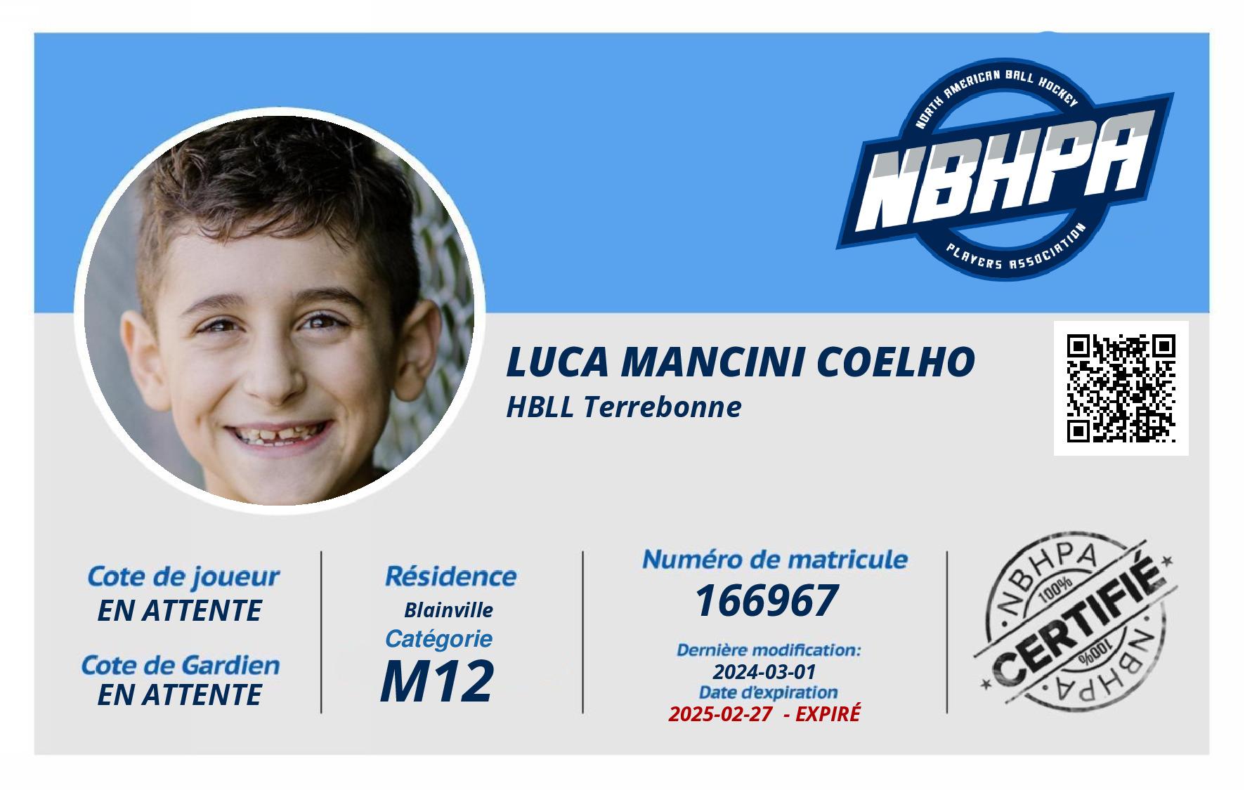 Luca Mancini Coelho 