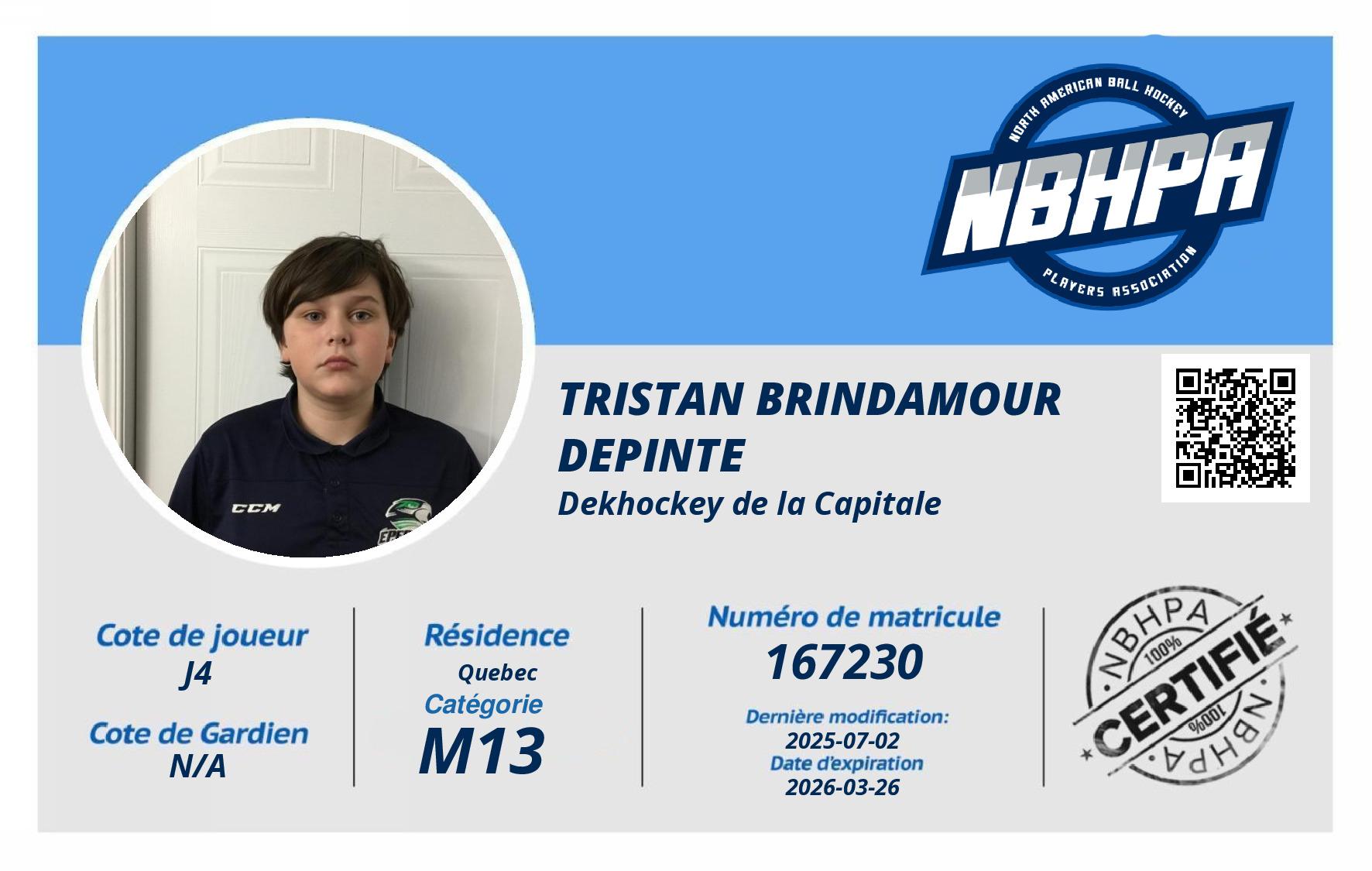 Tristan Brindamour Depinte