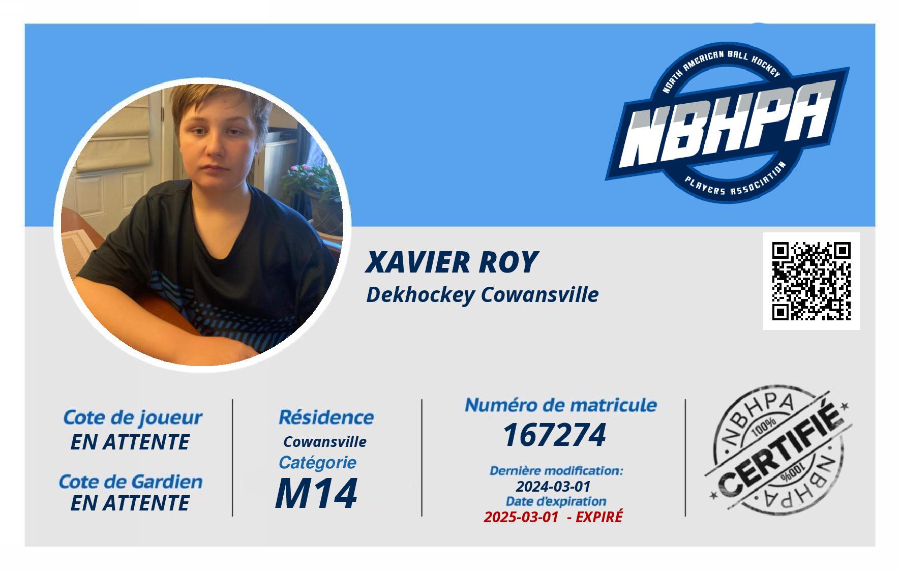 Xavier Roy