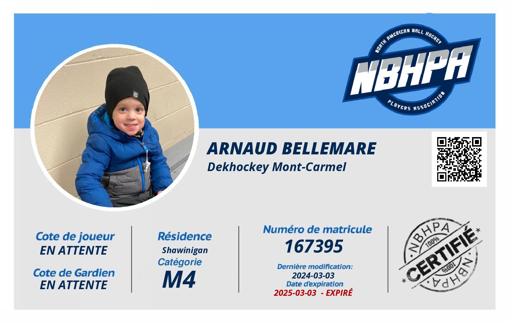 Arnaud Bellemare